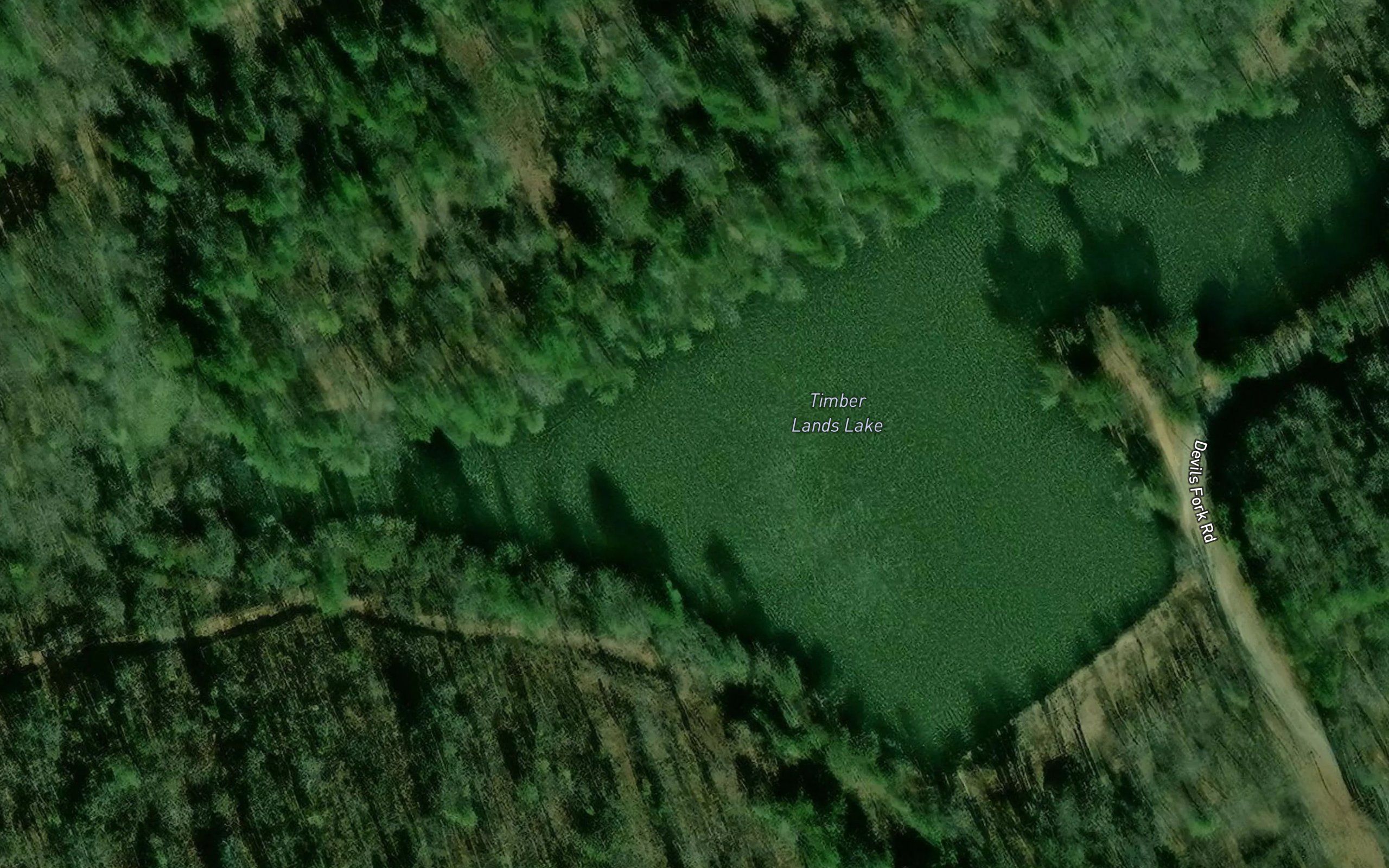 Timber Lands Lake