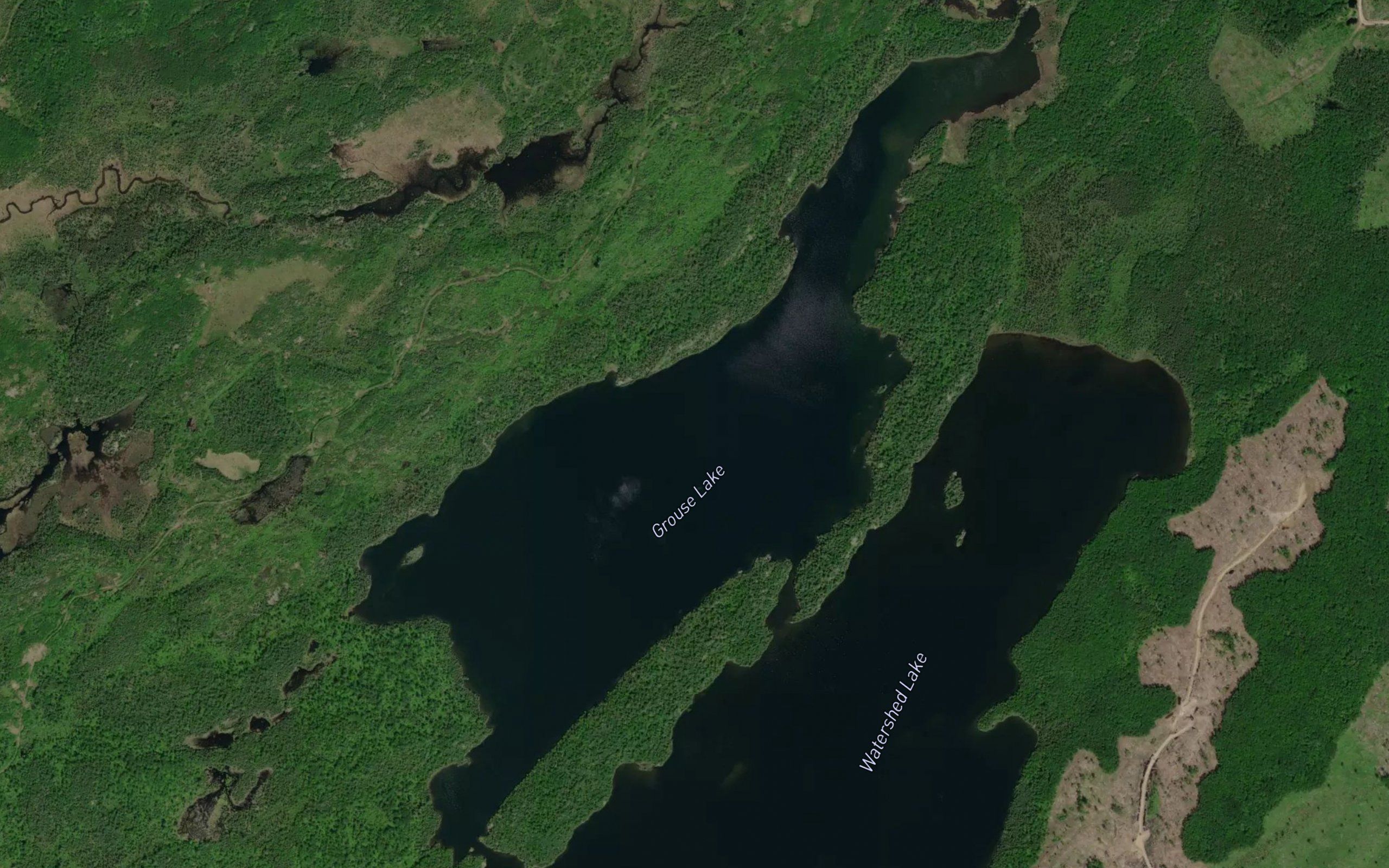Grouse Lake