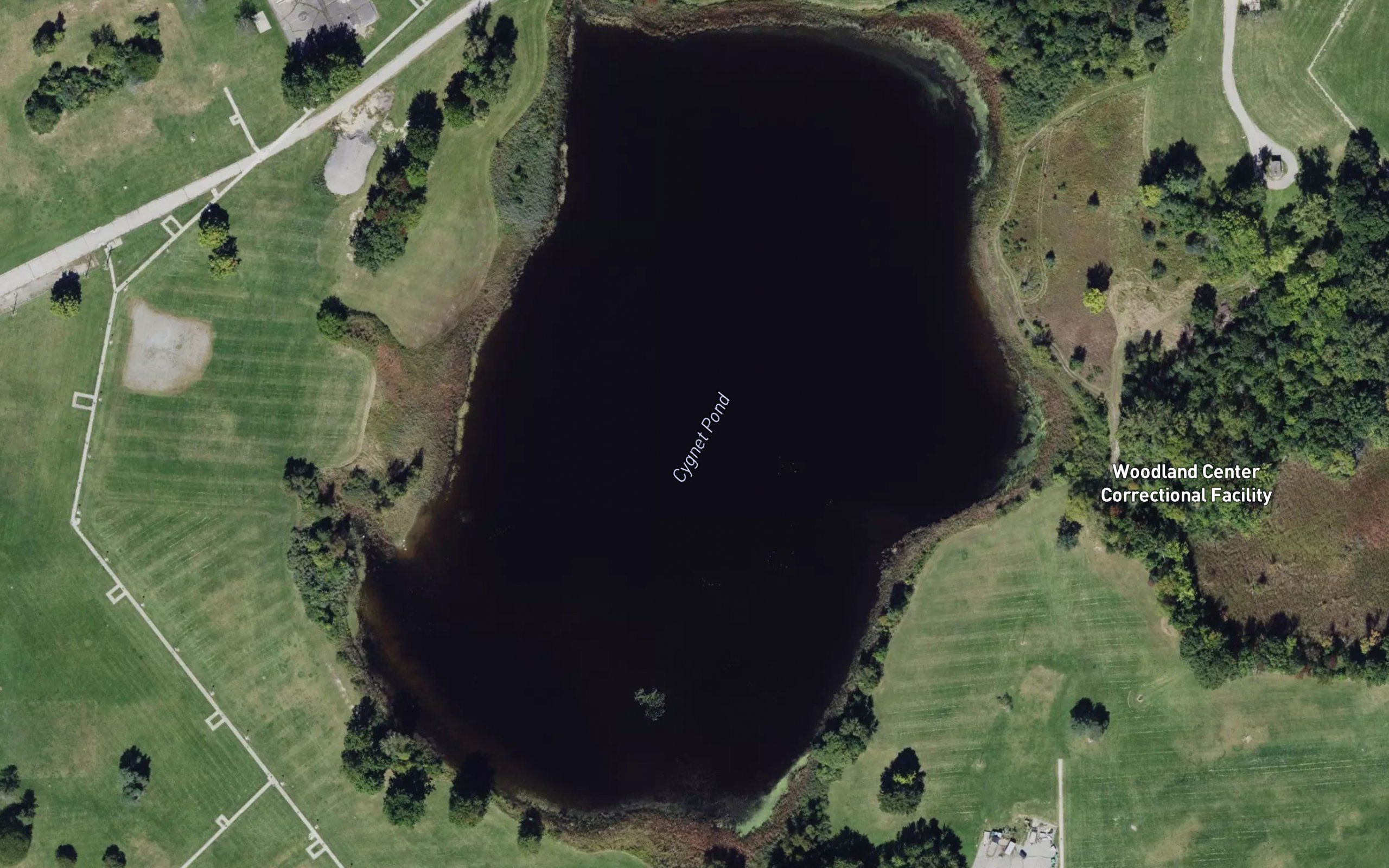 Cygnet Pond