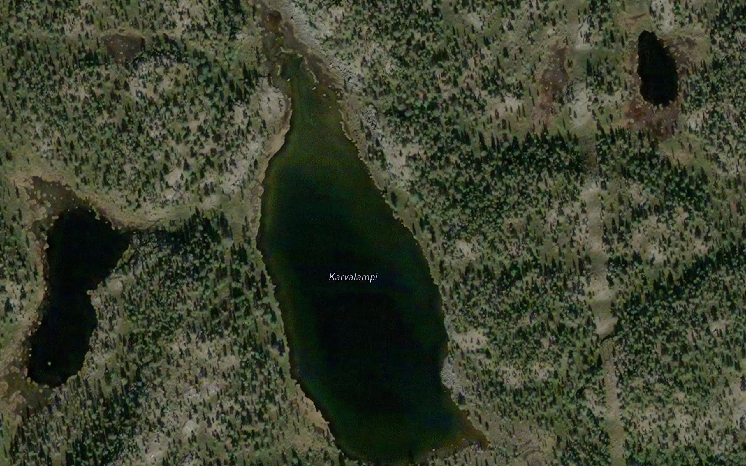 Hartjern