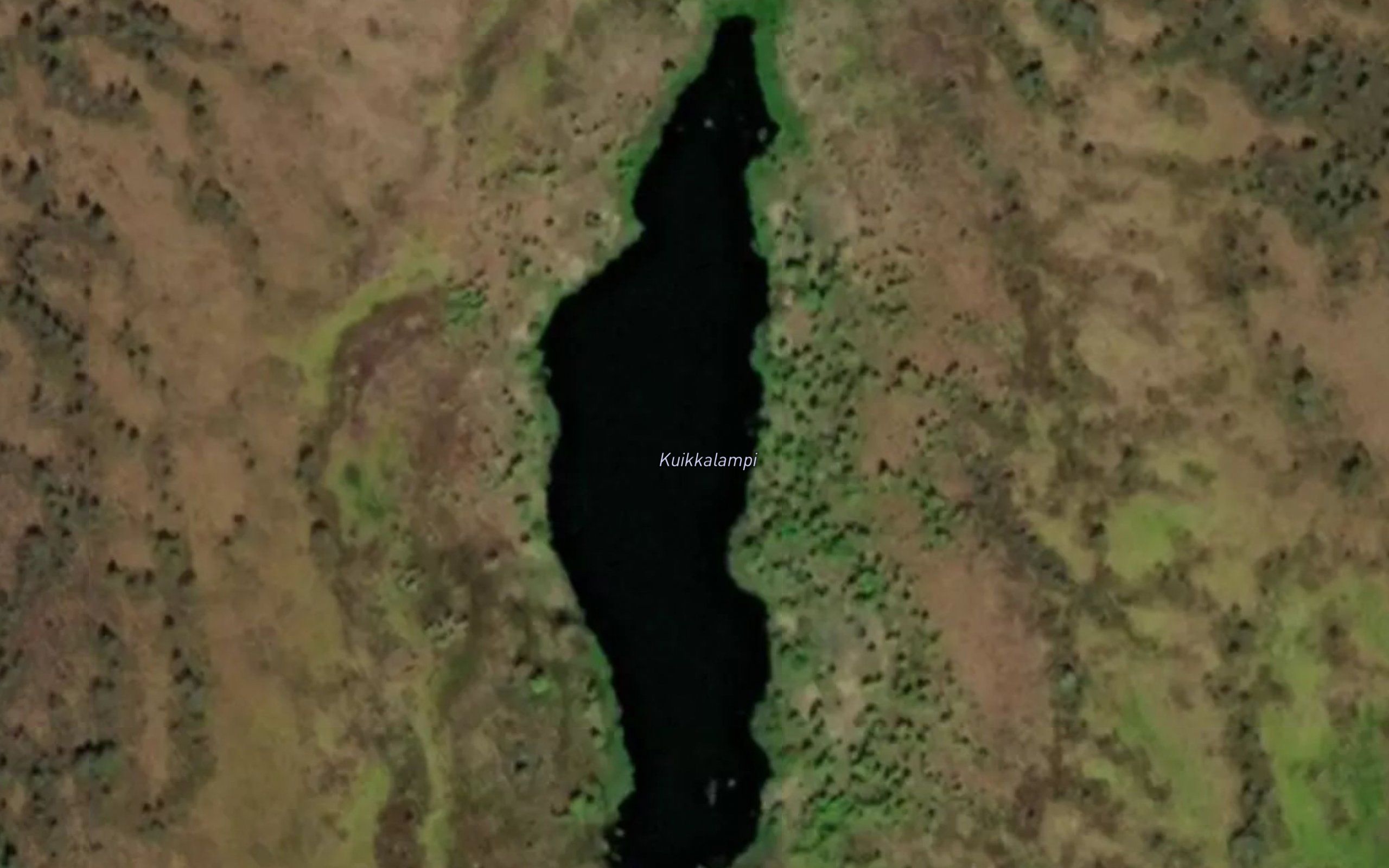 Kuikkalampi