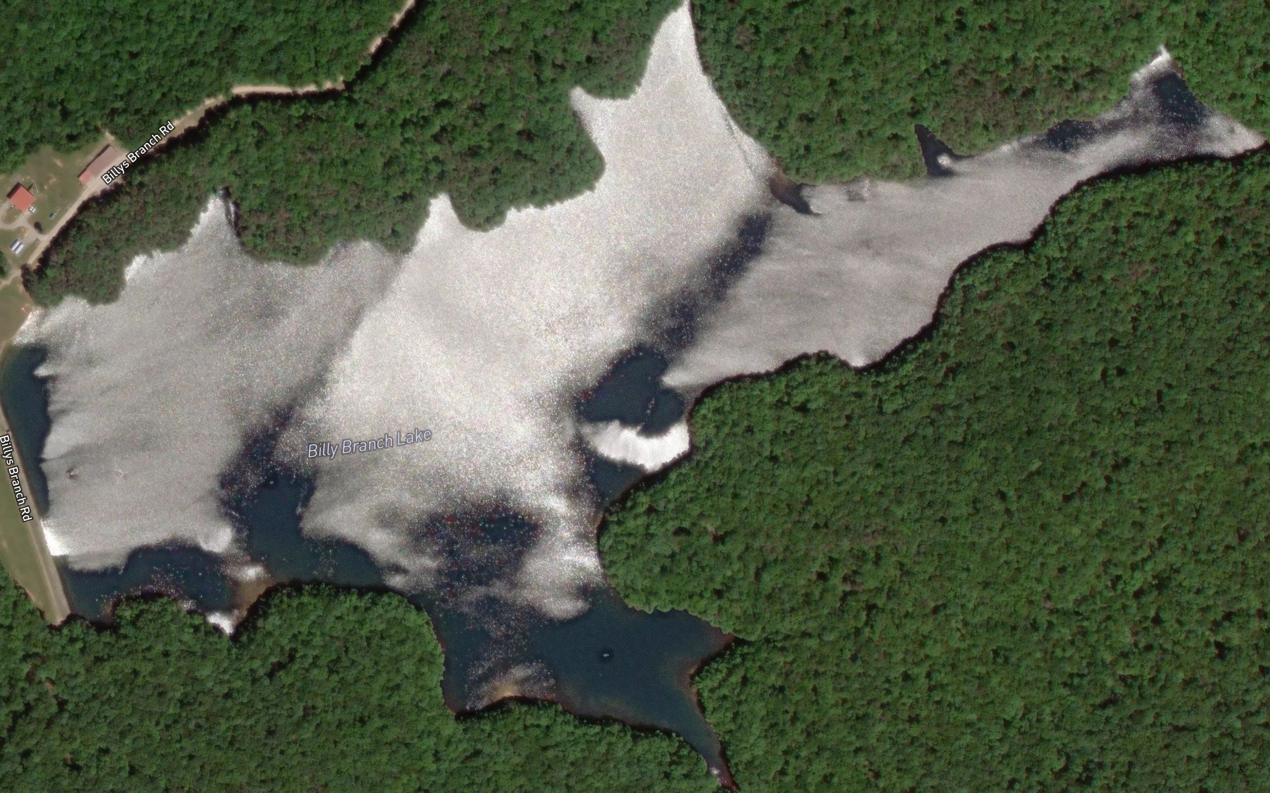 Billy Branch Lake