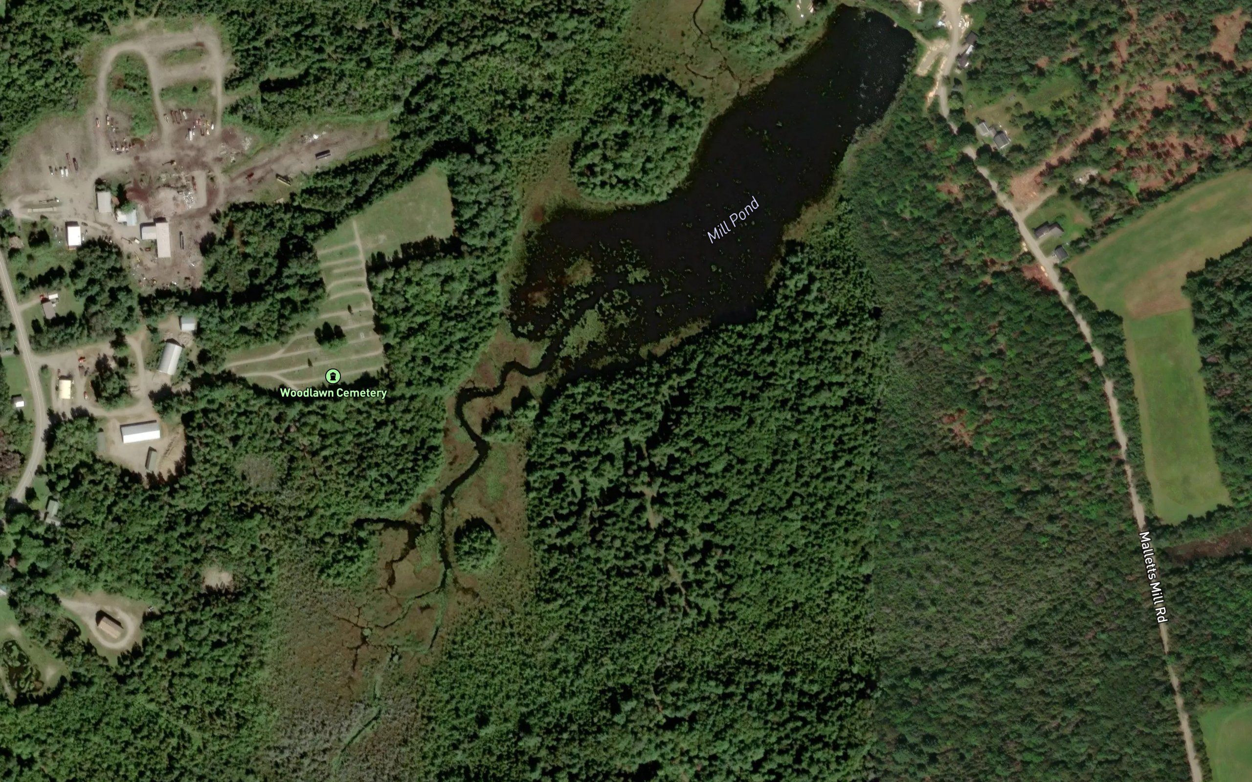 Mill Pond