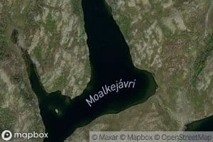 Moalkejavri
