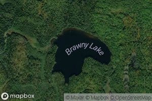 Brawny Lake