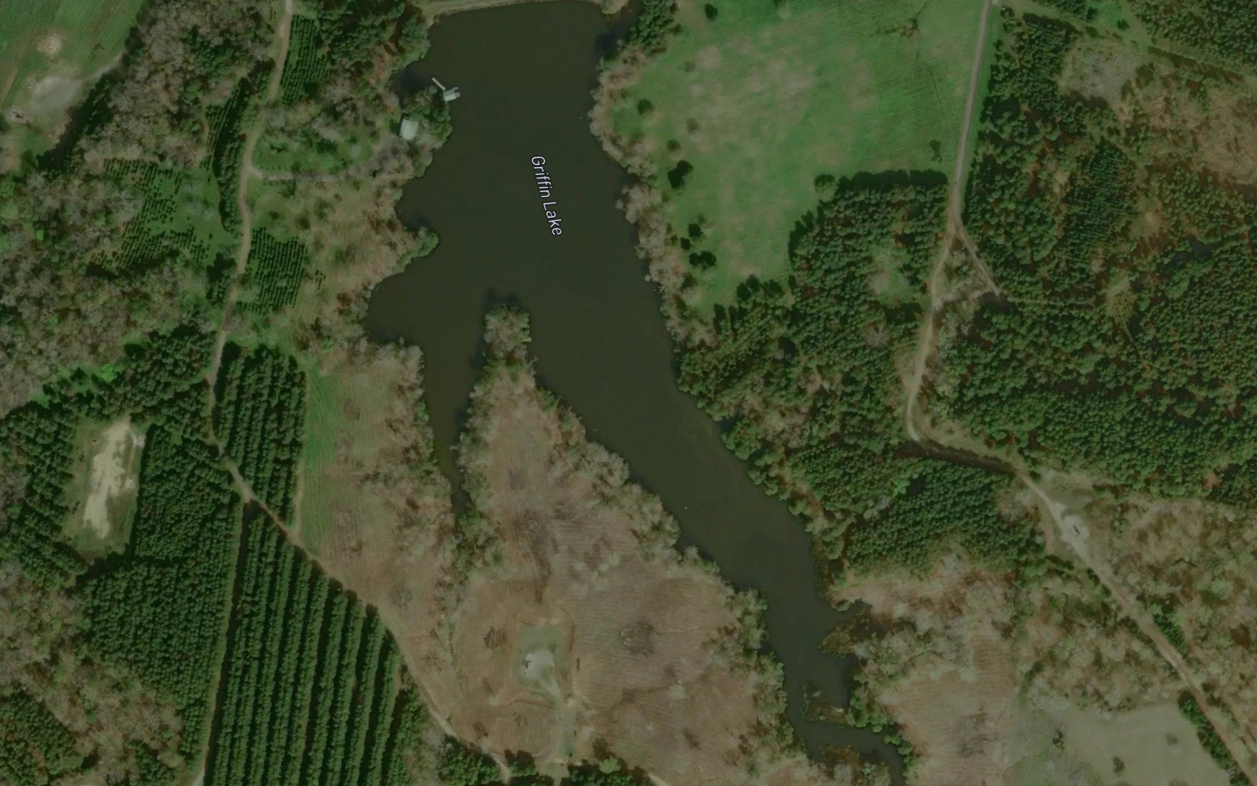 Griffin Lake