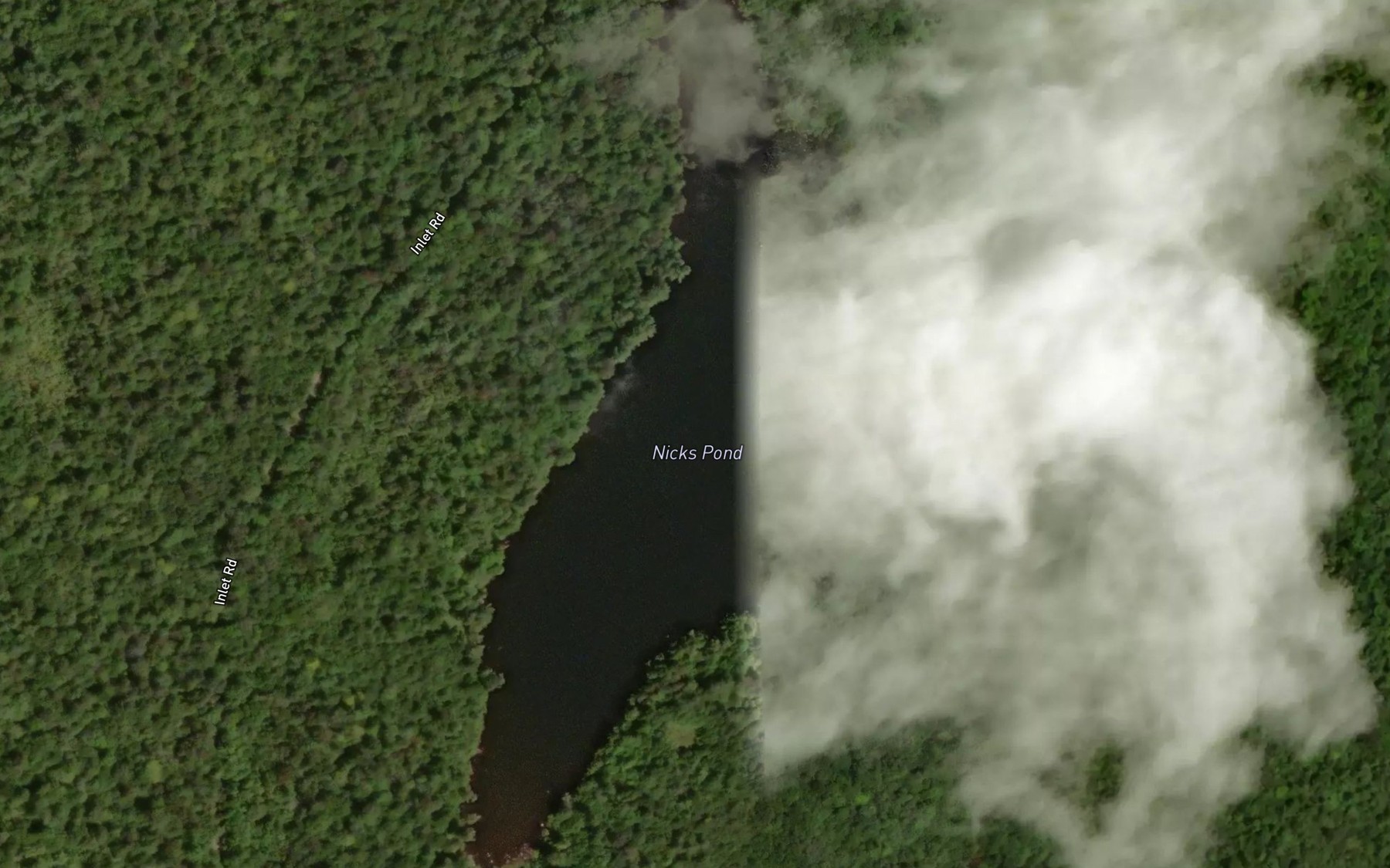 Satellite map of the Nicks Pond