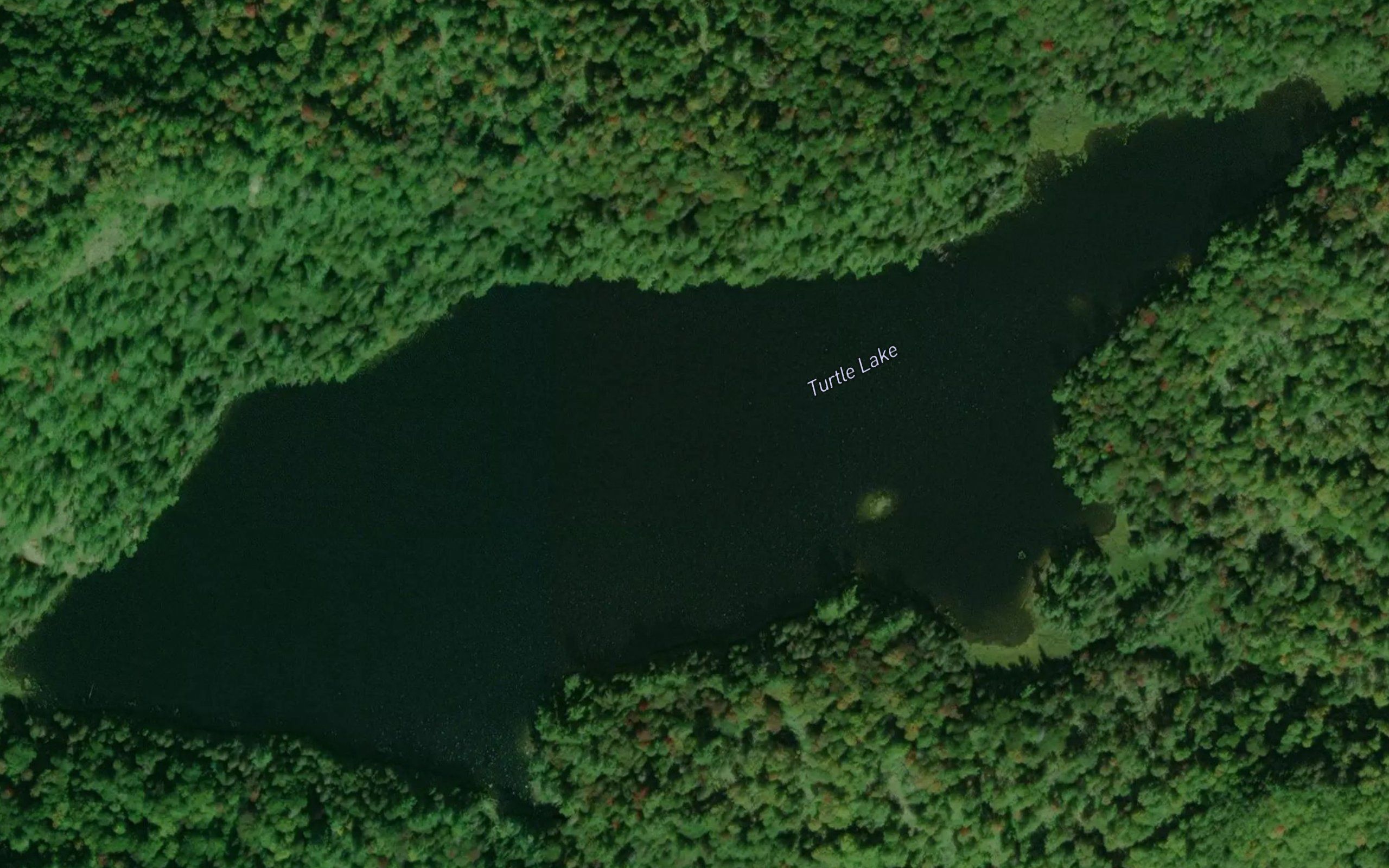 Turtle Lake