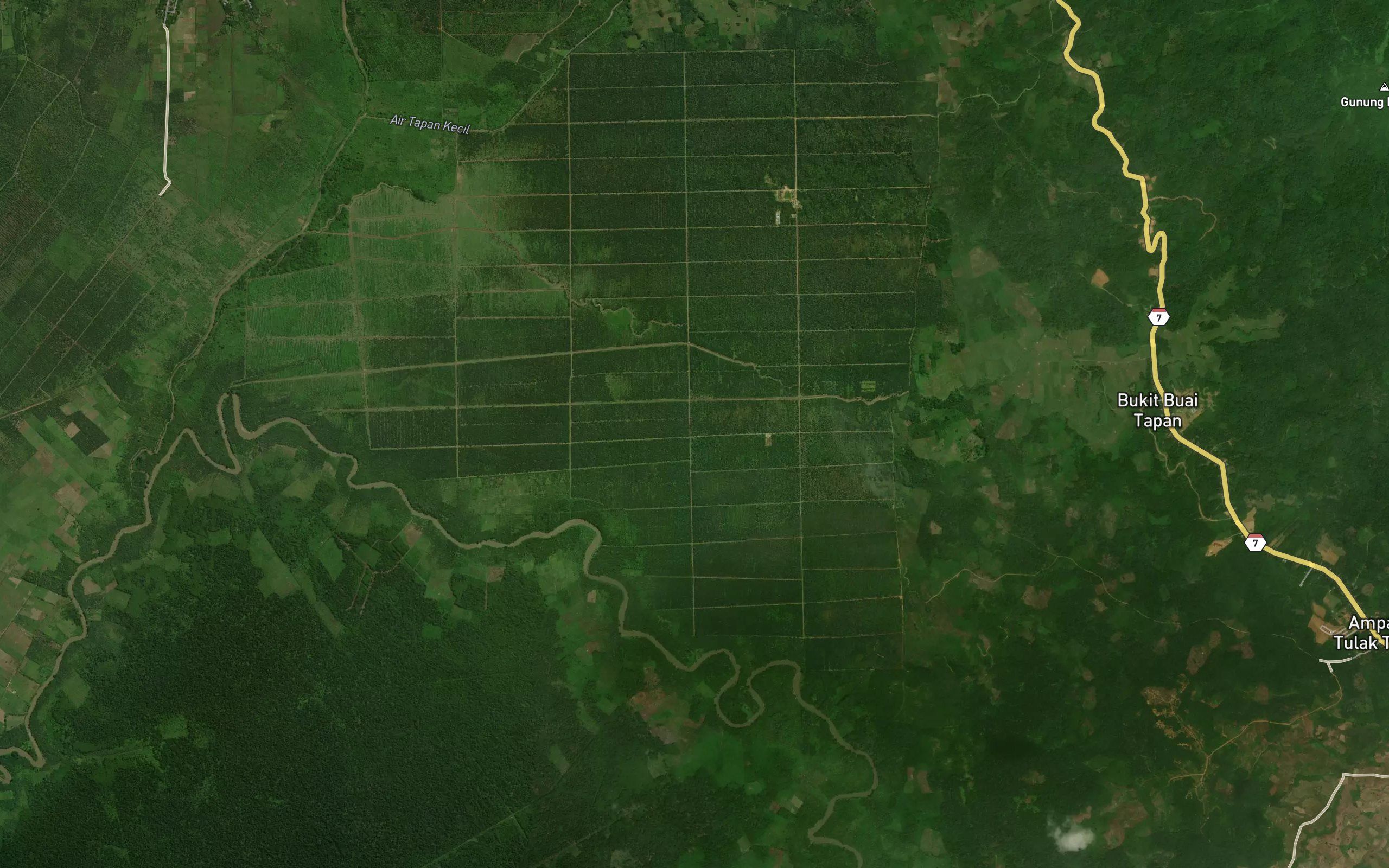 Batang Tapan