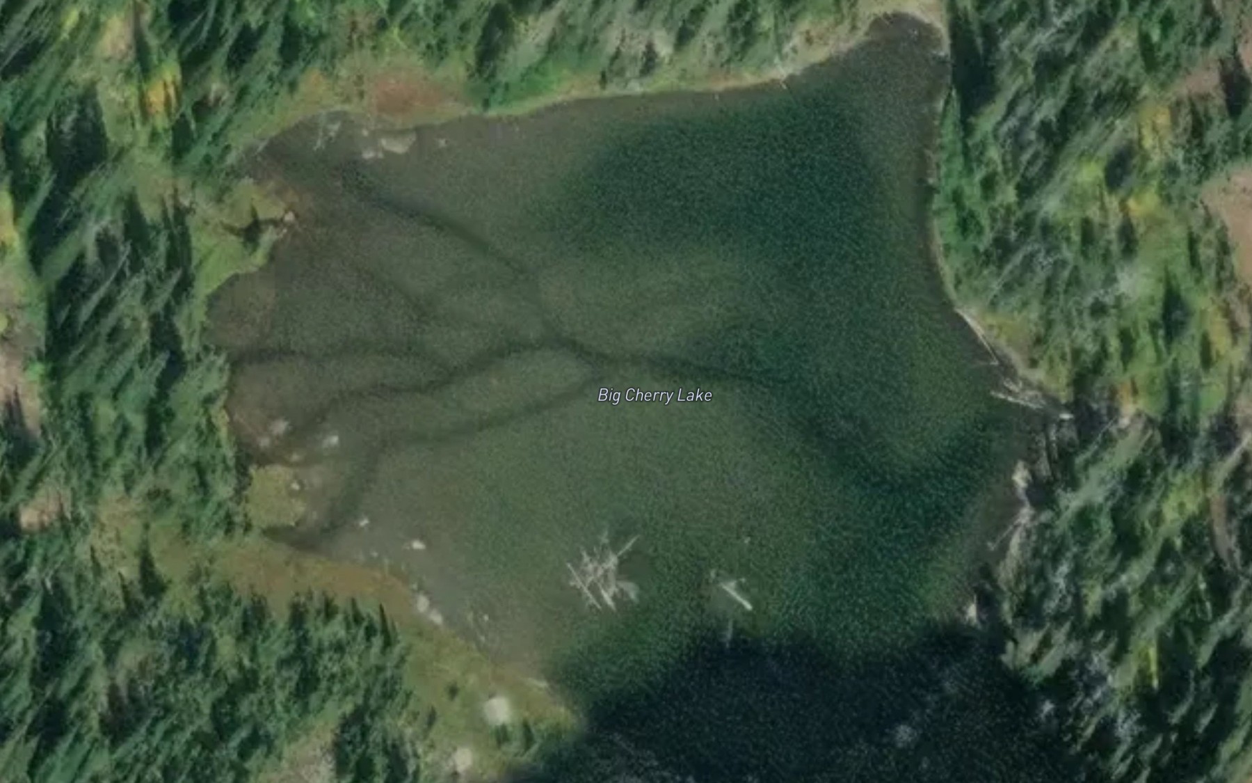 Satellite map of the Big Cherry Lake