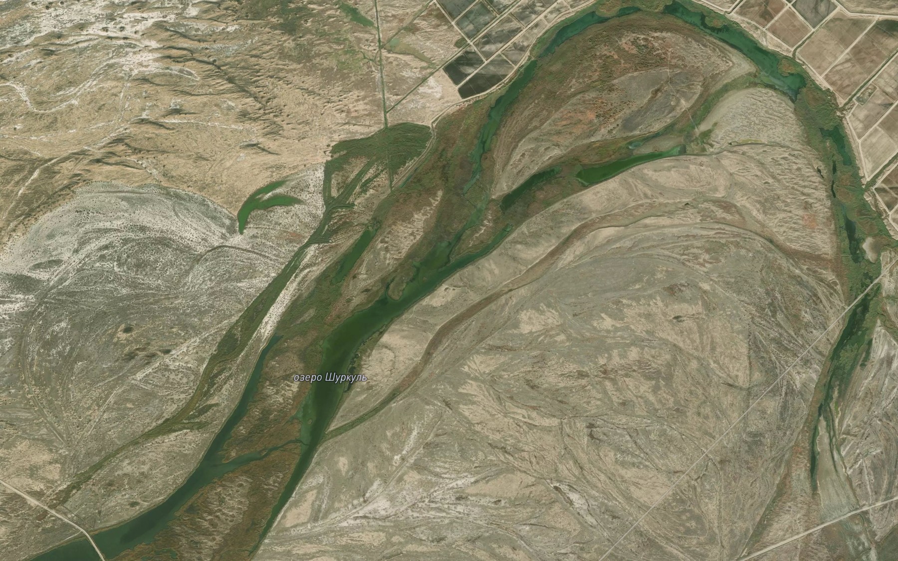 Satellite map of the Ozero Shurkul'