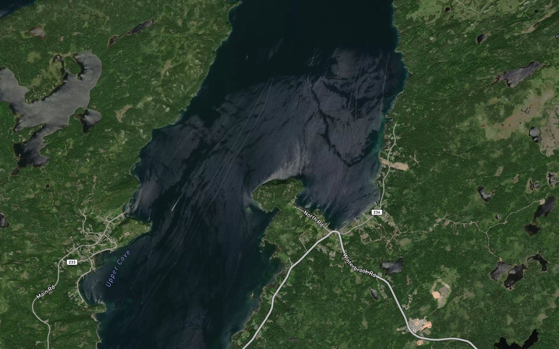 Satellite map of the Back Cove