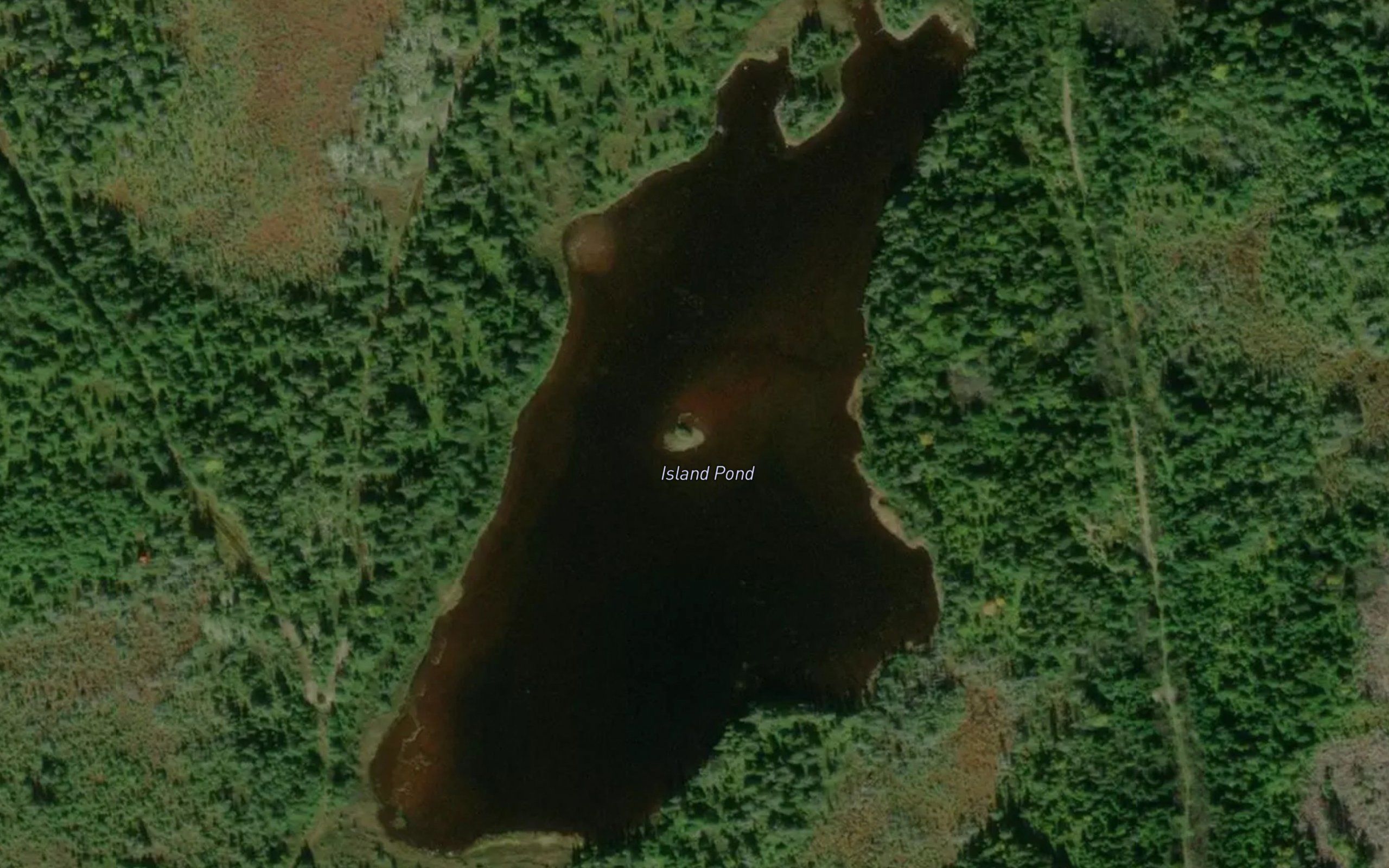 Island Pond