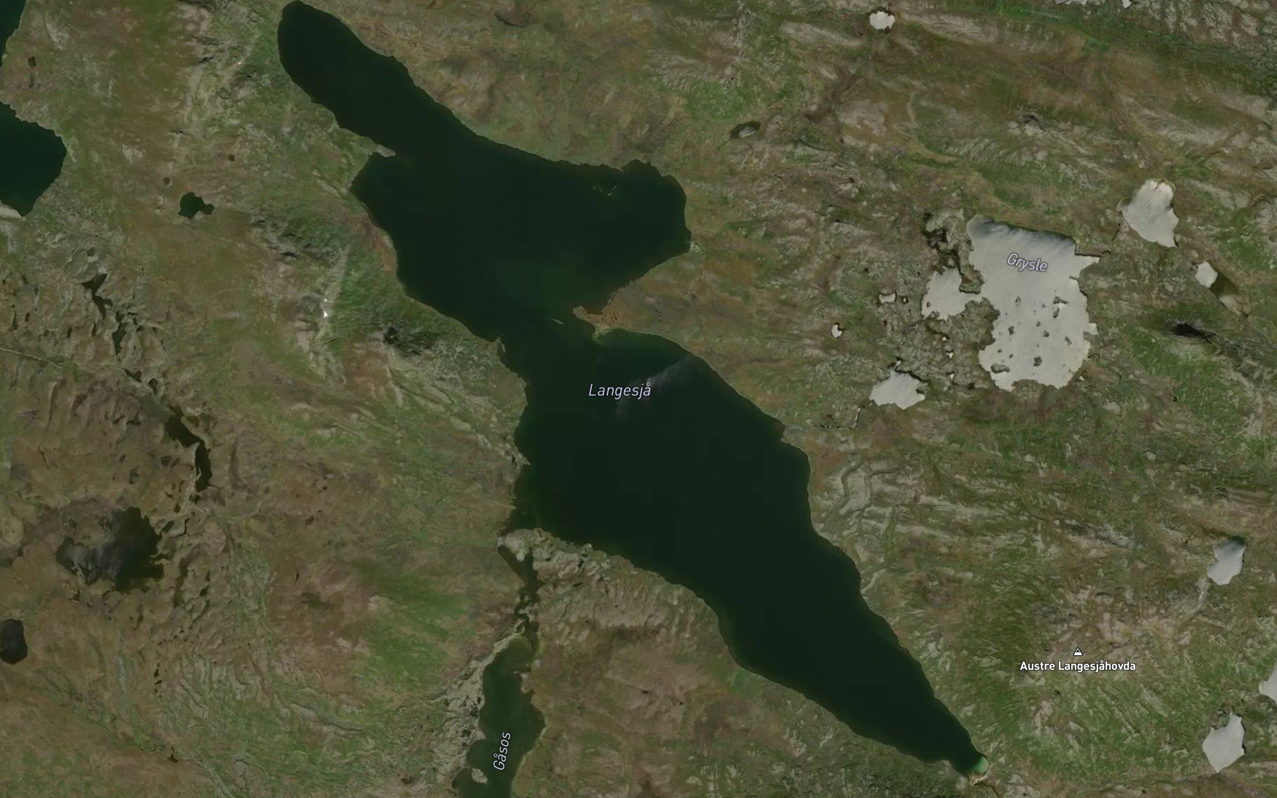 Langesja