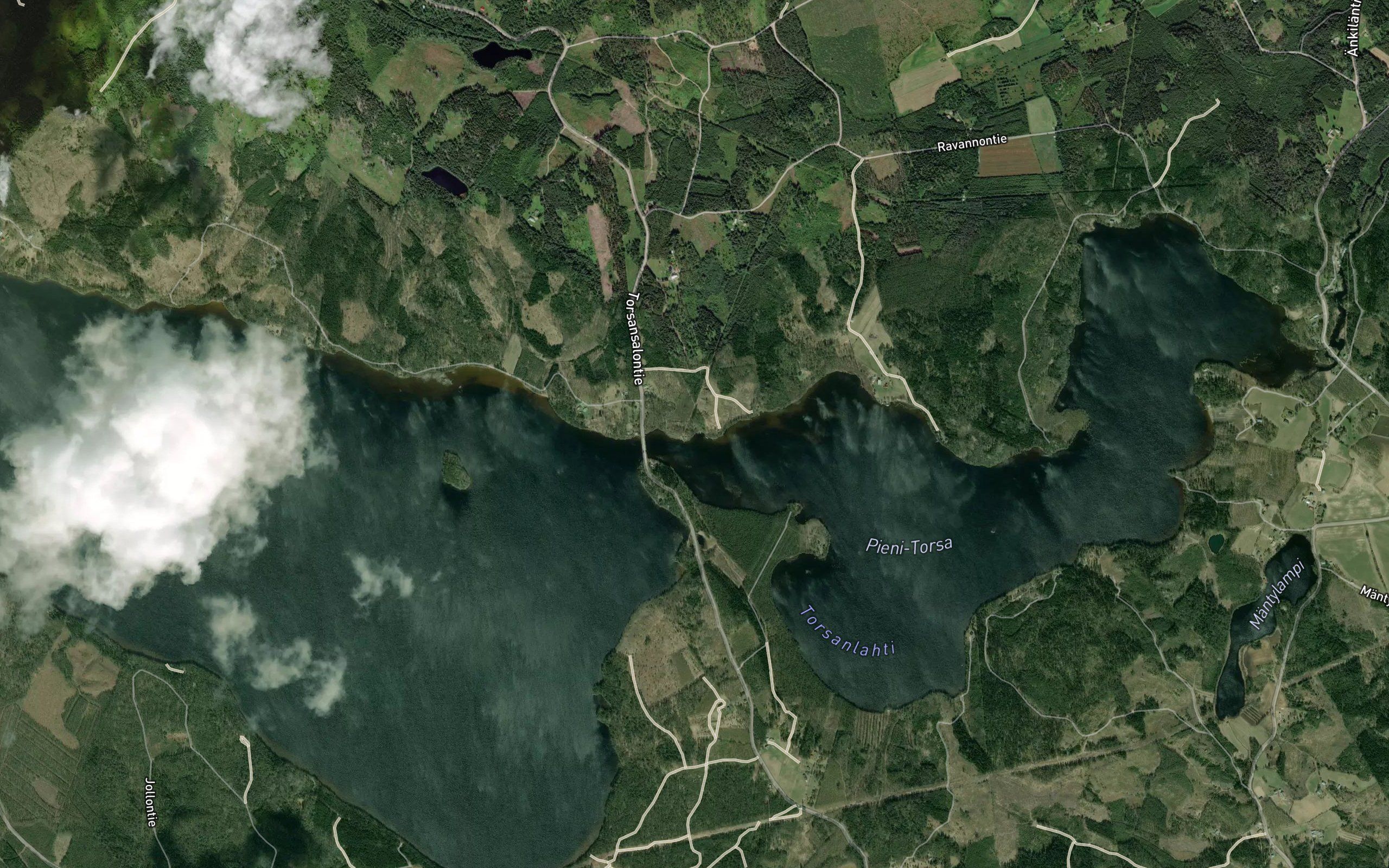 Tuluksenuittu