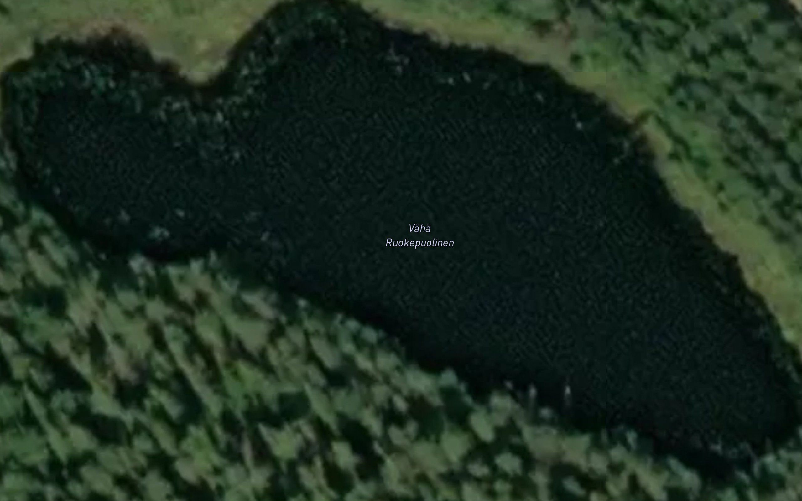 Vaha Ruokepuolinen
