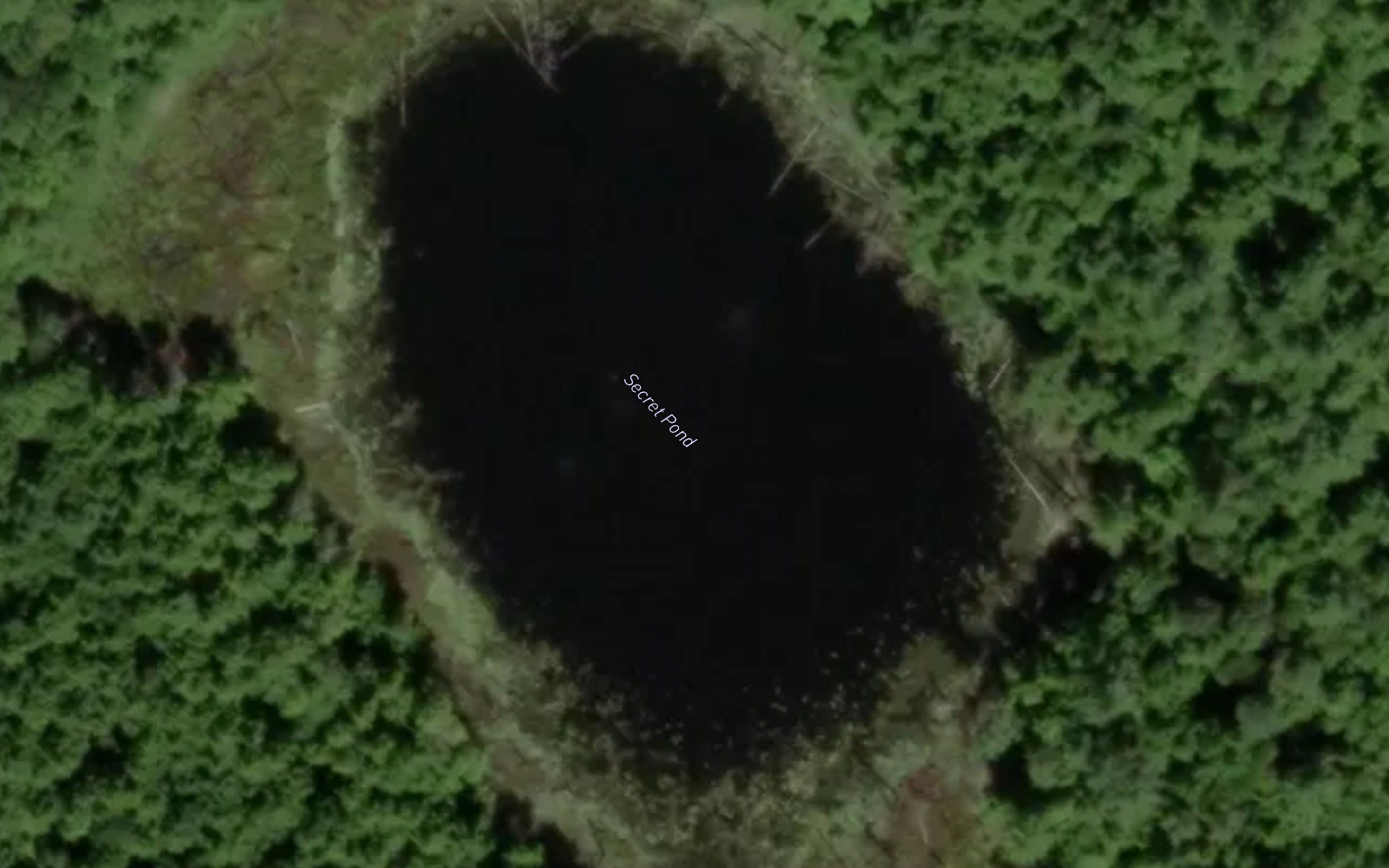 Secret Pond
