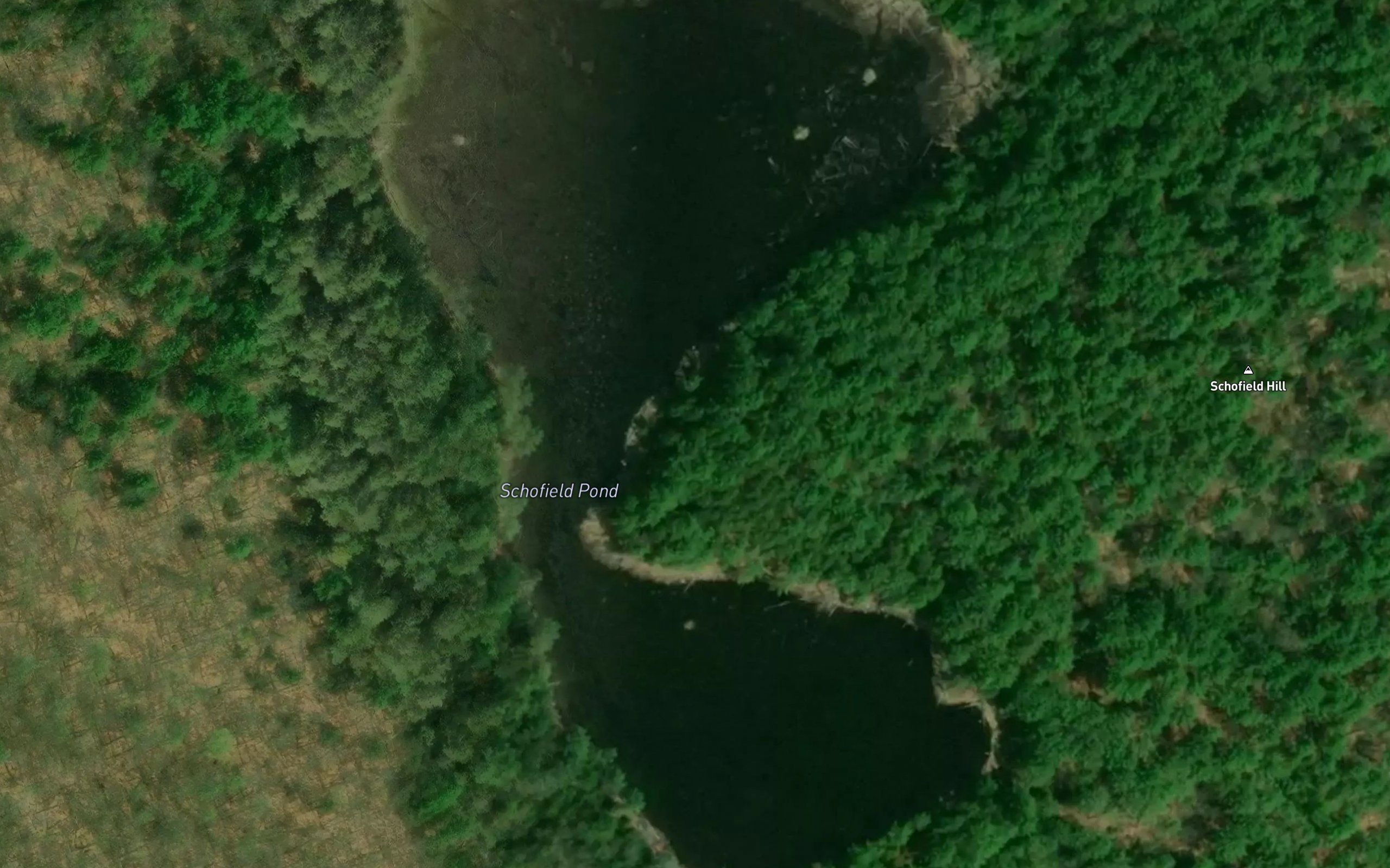 Schofield Pond