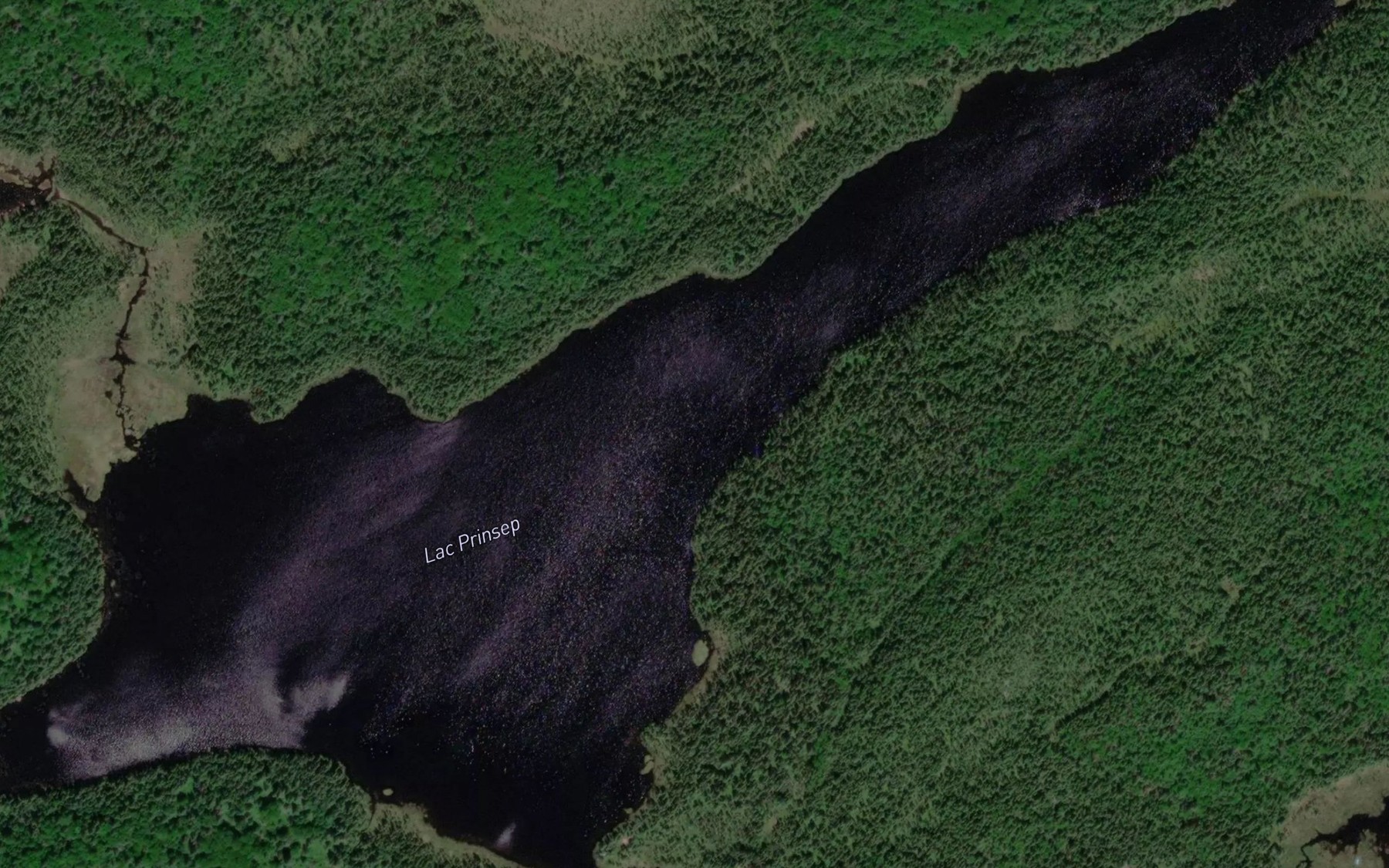 Satellite map of the Lac Prinsep