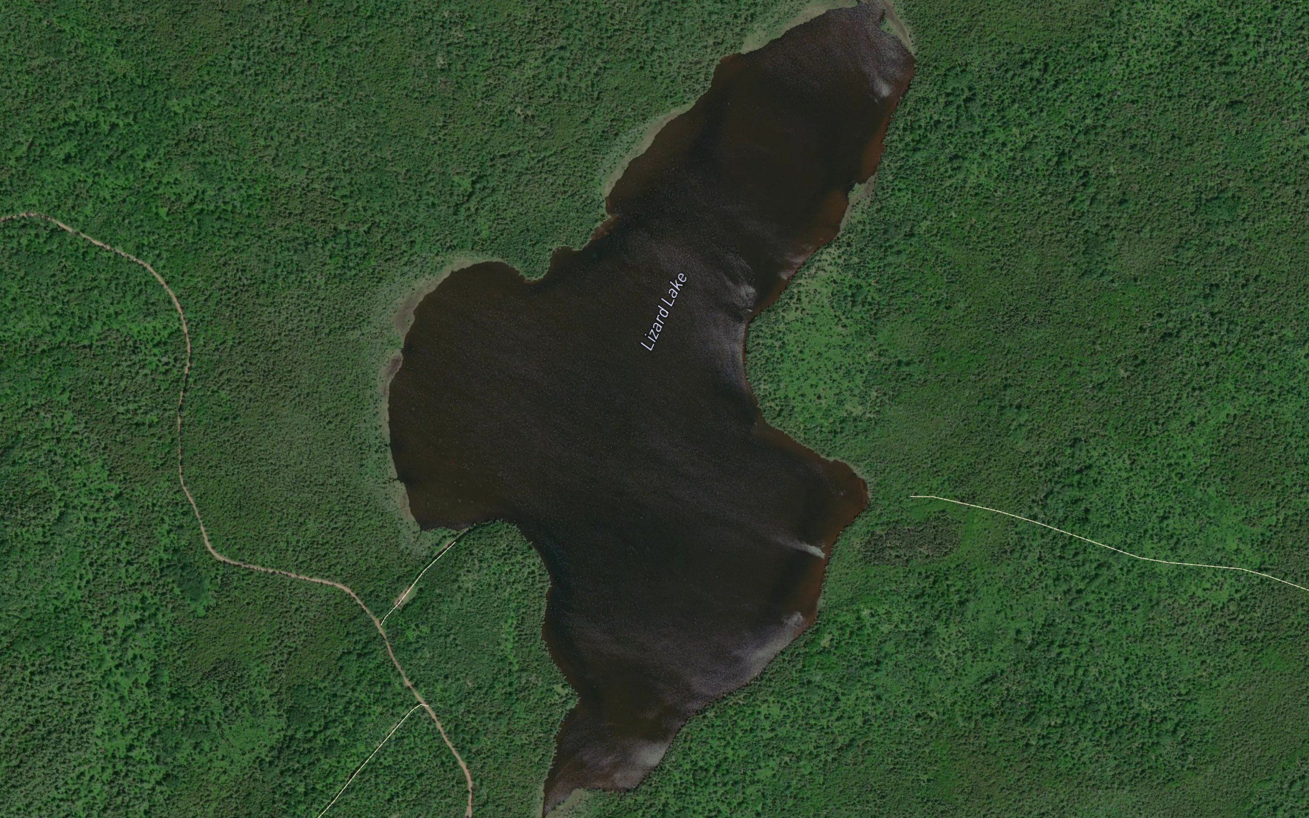 Lizard Lake