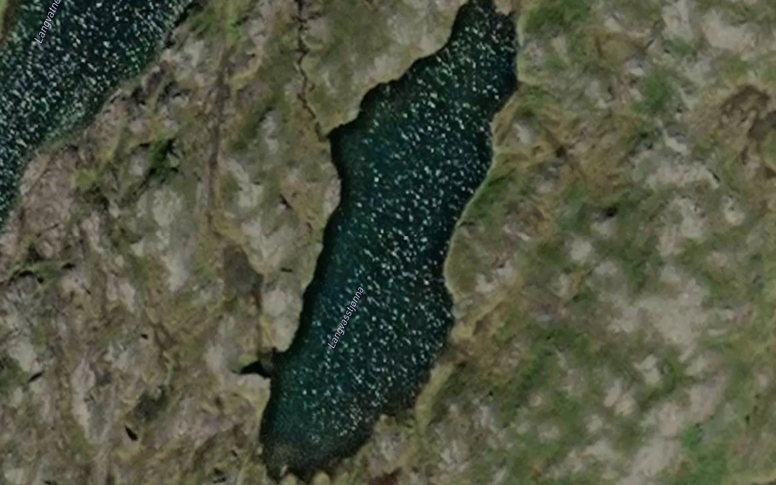 Langvasstjonna