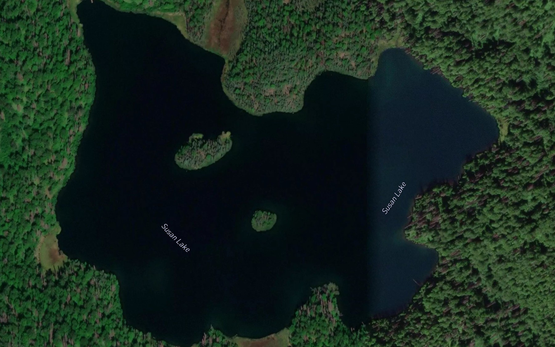 Satellite map of the Susan Lake