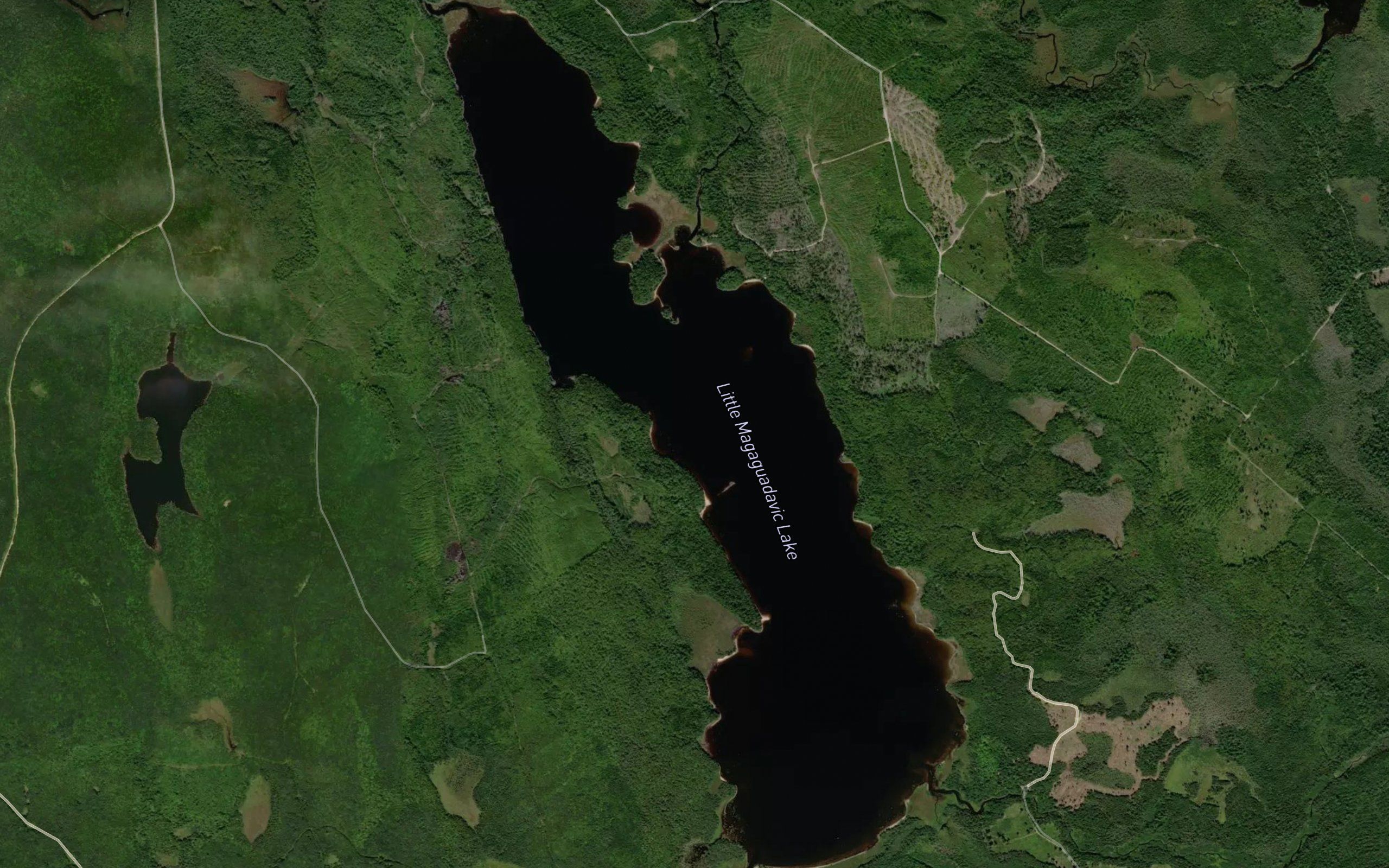Little Magaguadavic Lake
