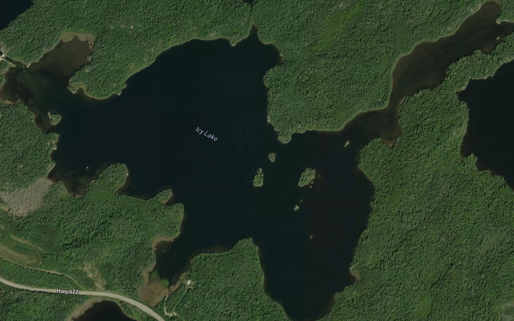 Satellite map of the Icy Lake