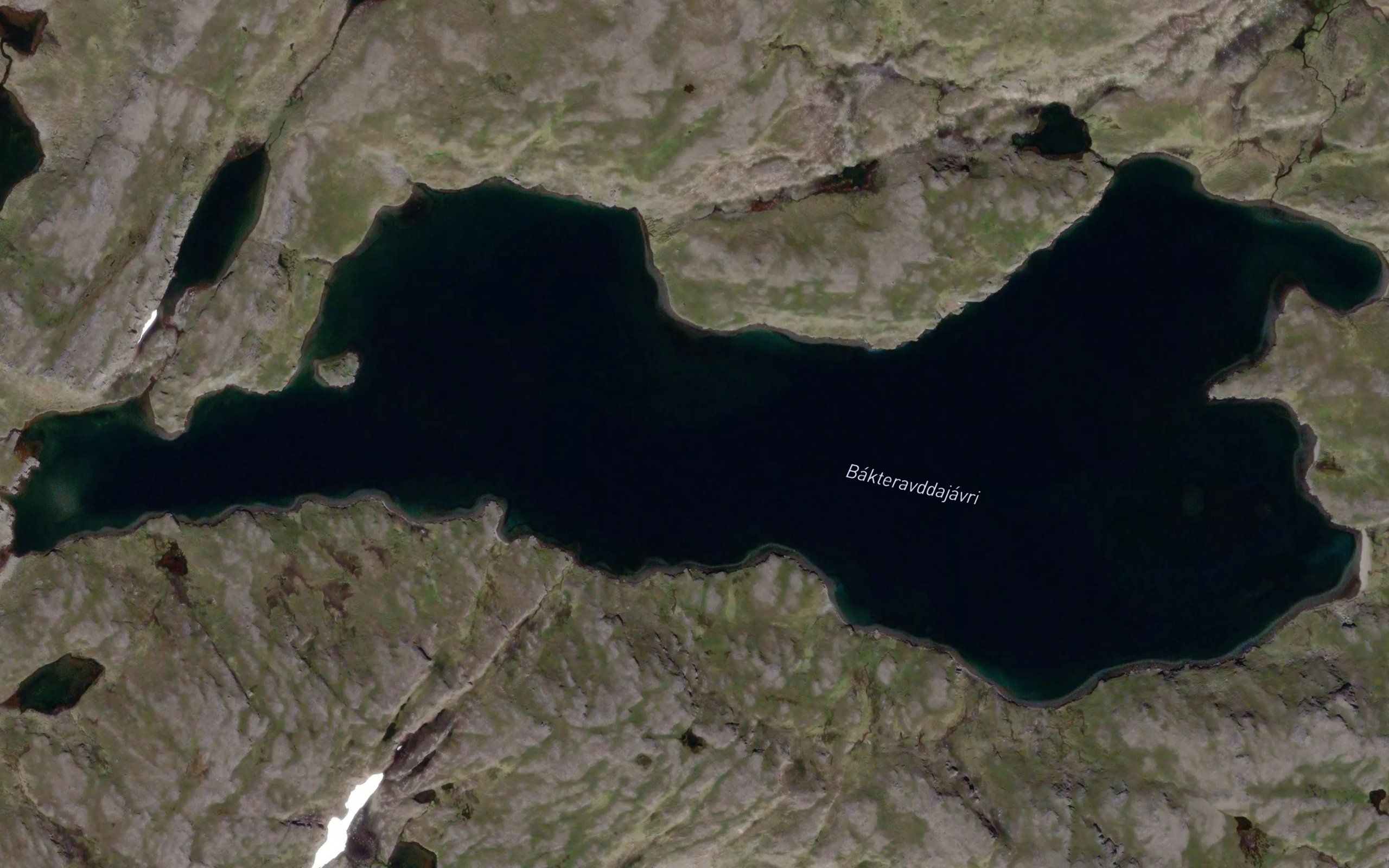 Bakteravdajavri