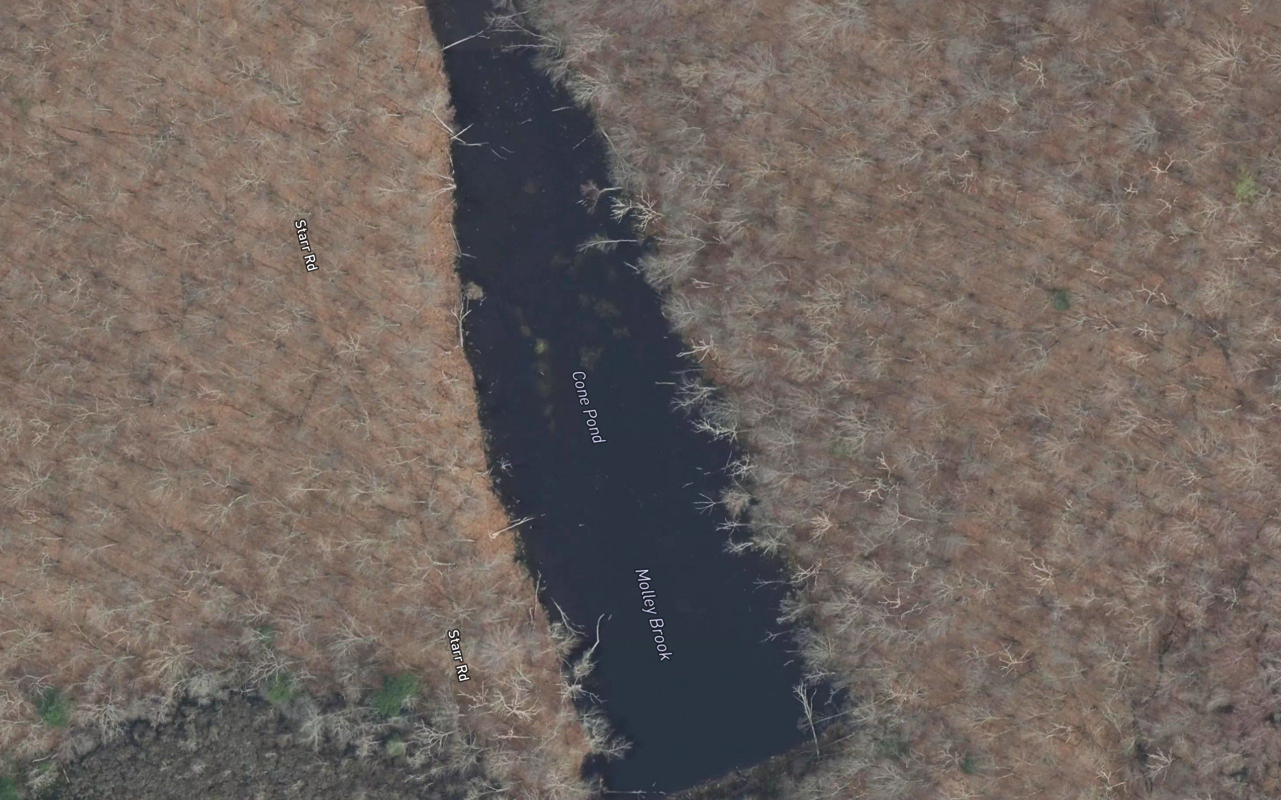Cone Pond