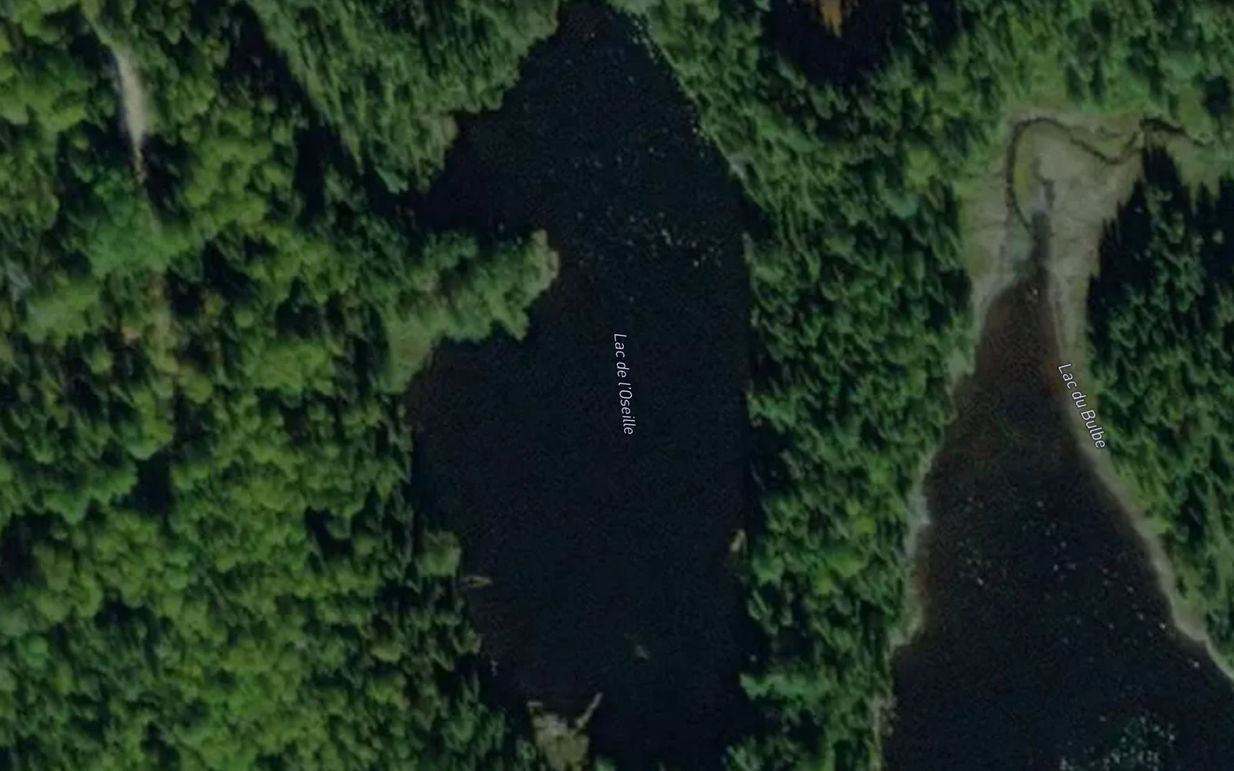 Satellite map of the Lac de l'Oseille