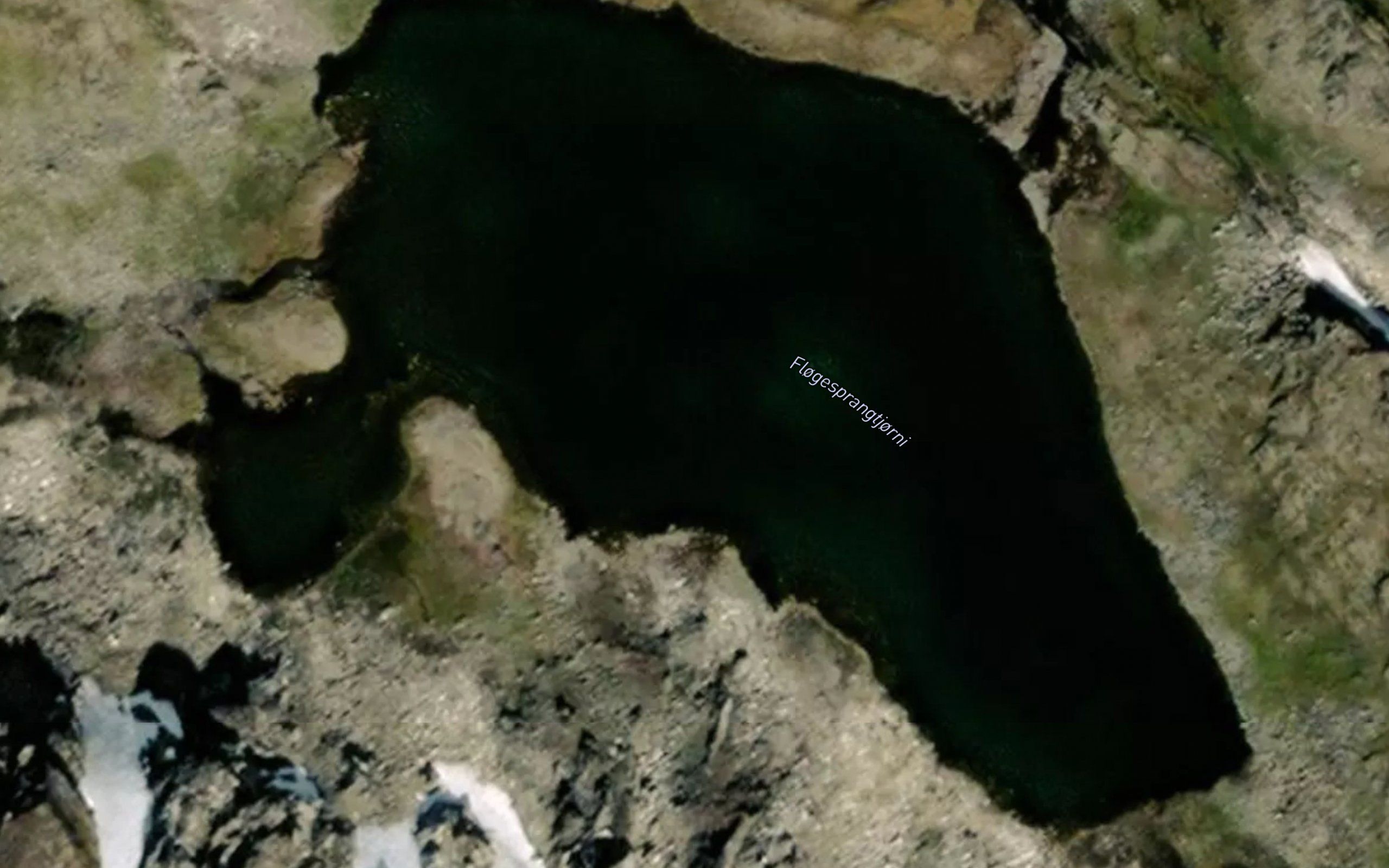 Flogesprangtjorni