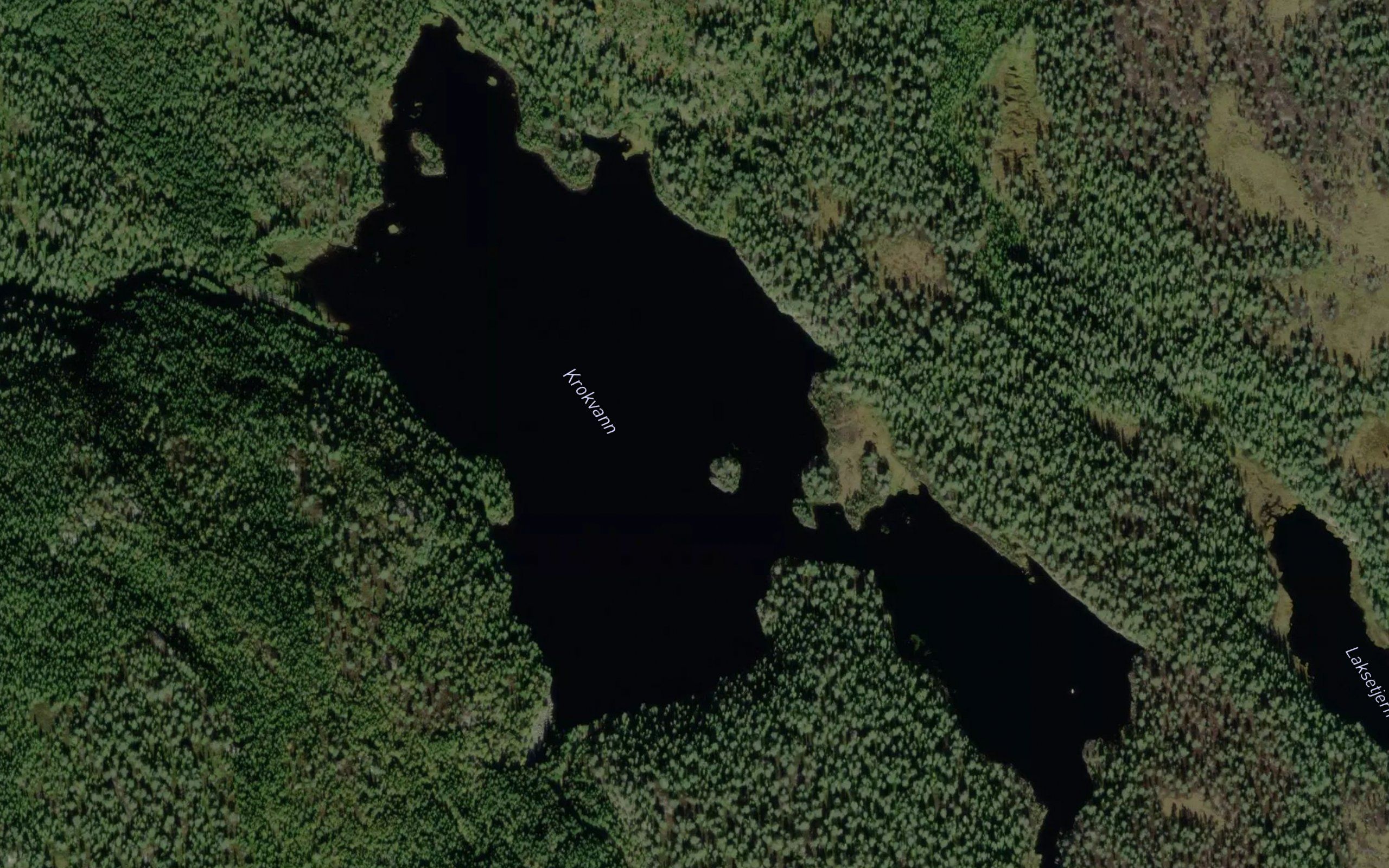 Krokvann