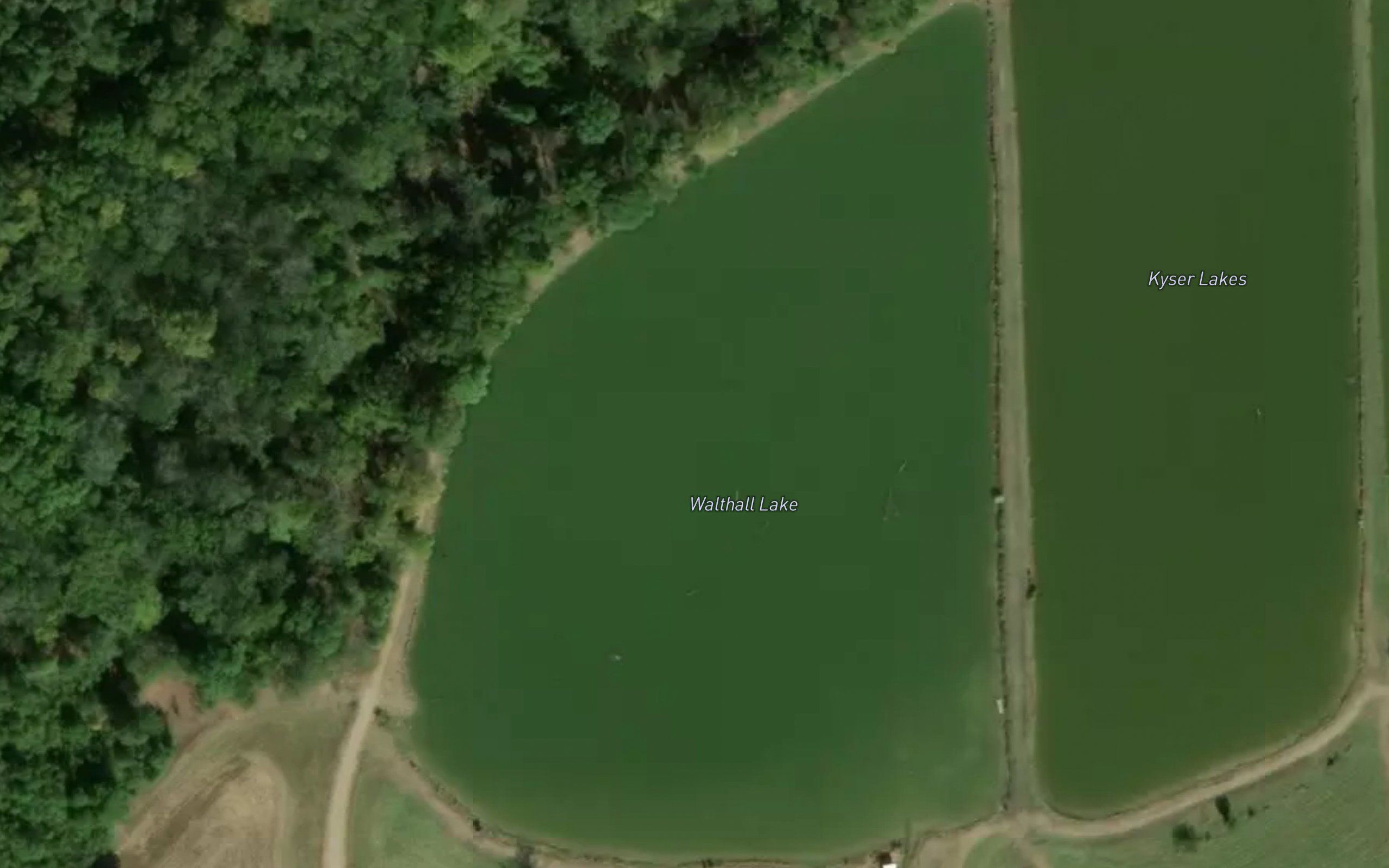 Walthall Lake