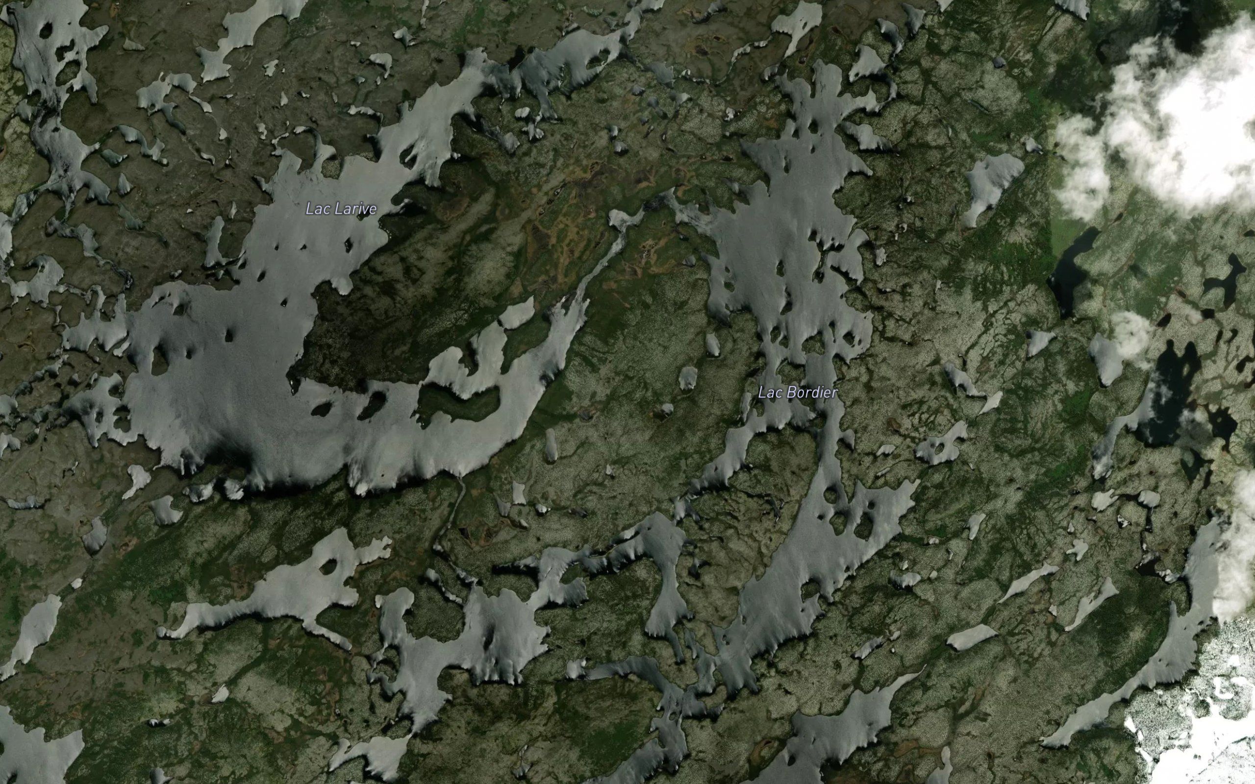 Lac Bordier