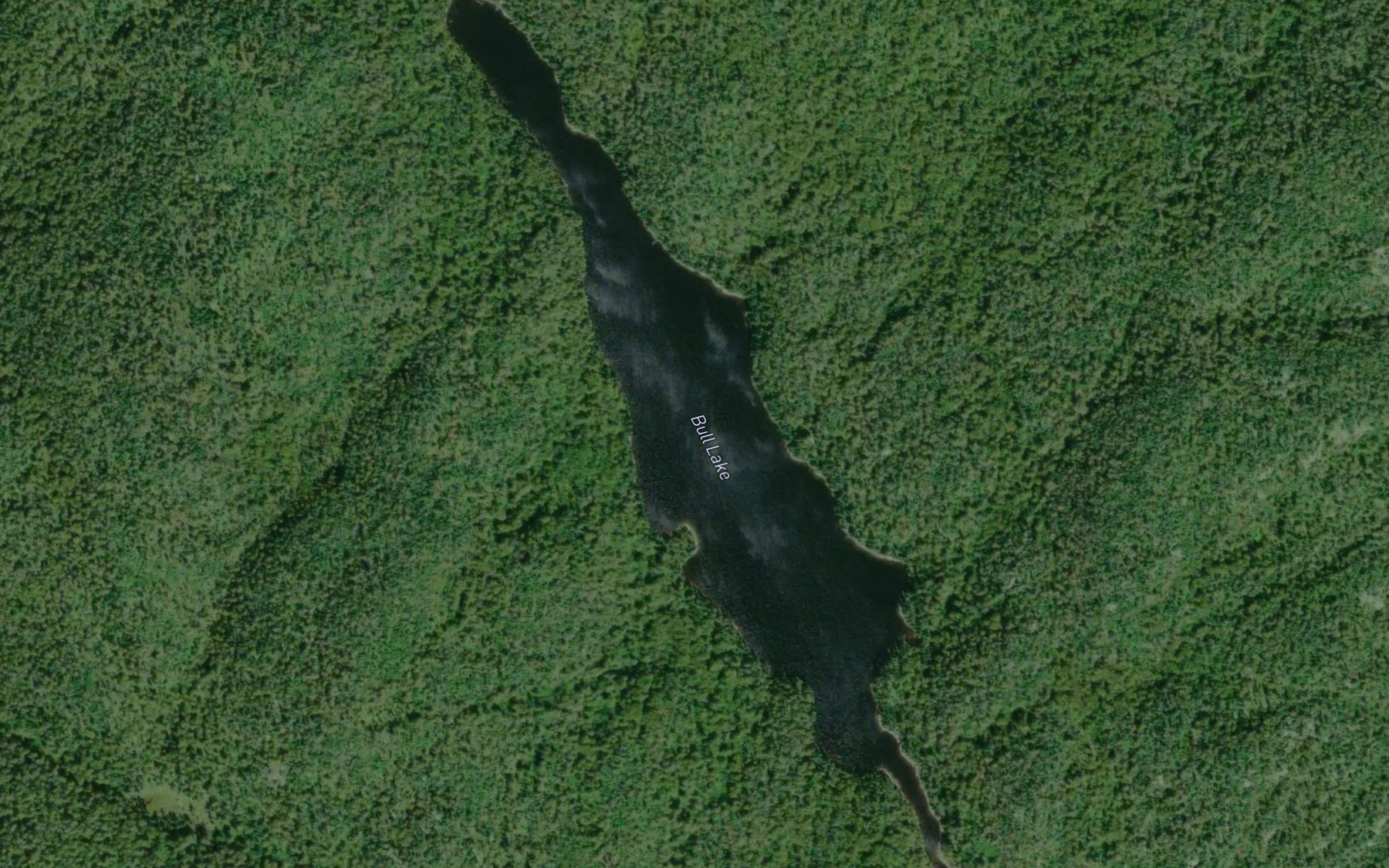 Satellite map of the Bull Lake