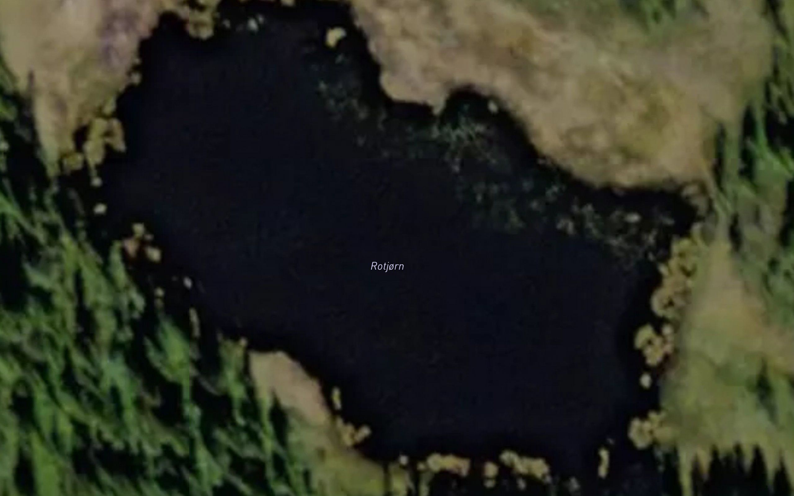 Rotjorn