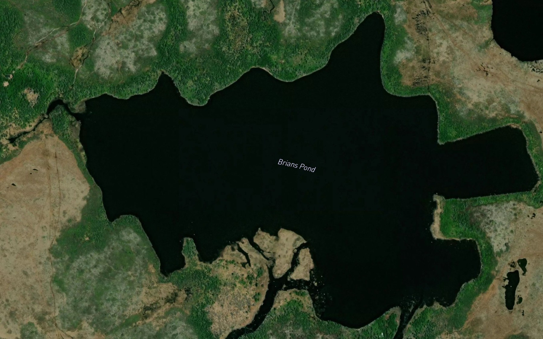 Satellite map of the Brians Pond