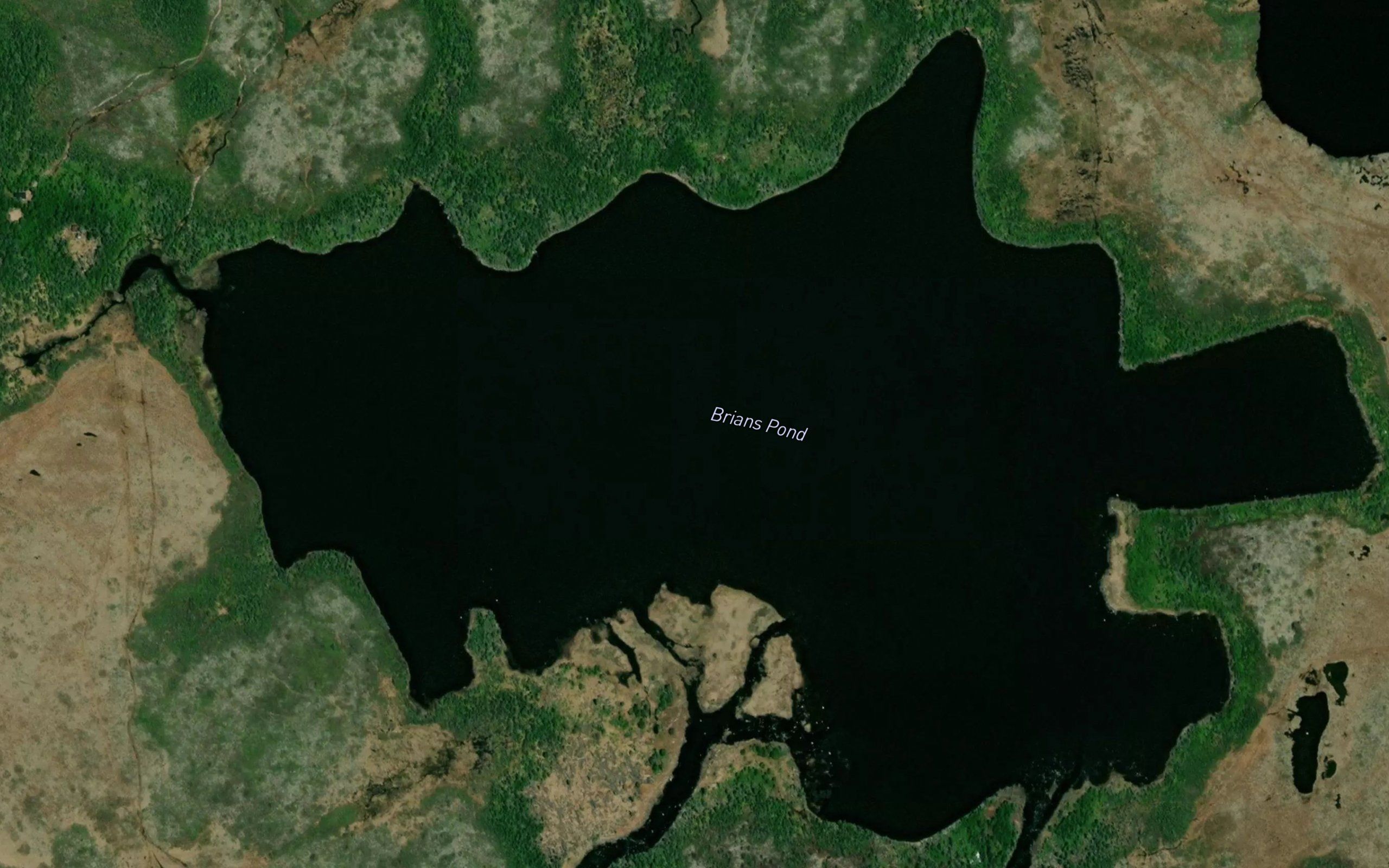 Brians Pond