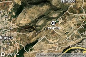 Nab`at `Arid al Qasr