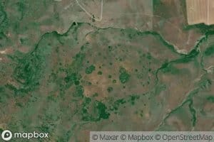 16N02E08C___01 Spring