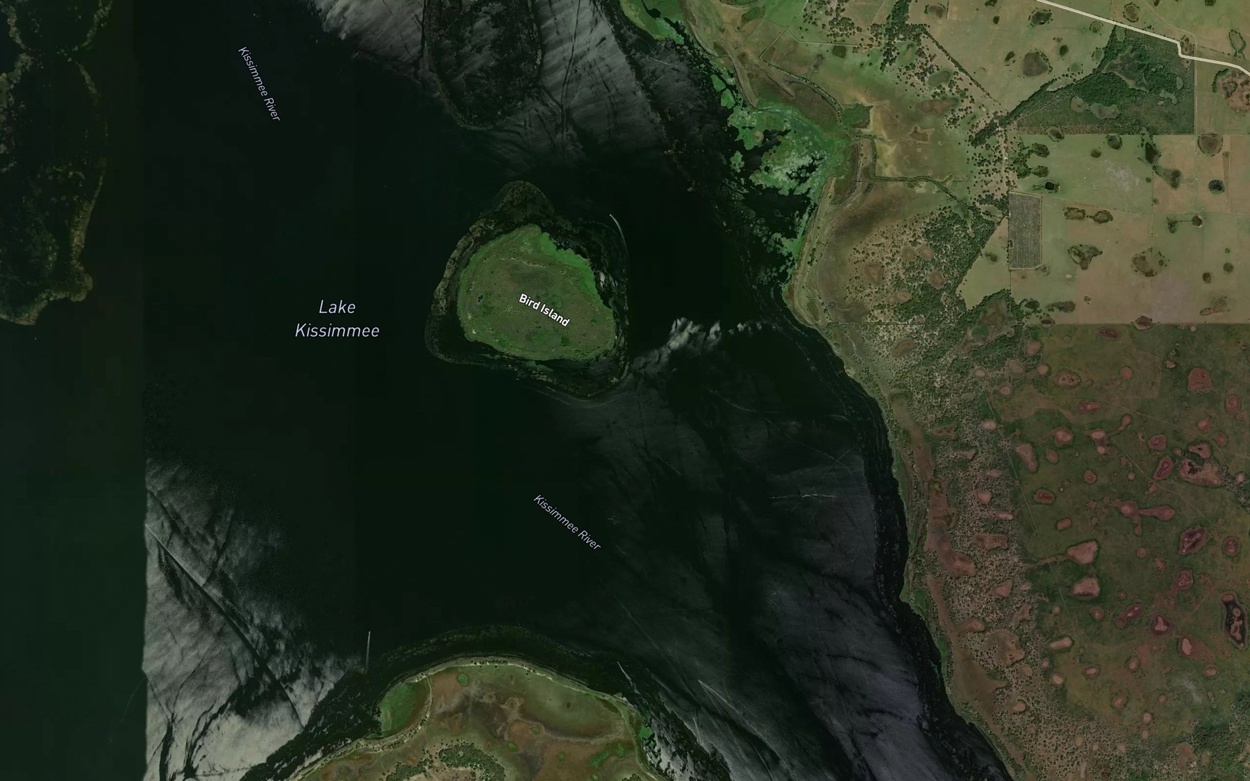 Satellite map of the Bird Island