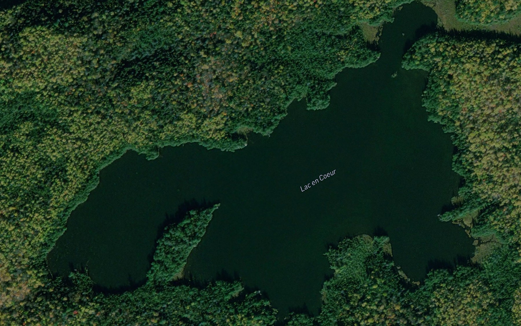 Satellite map of the Lac en Coeur