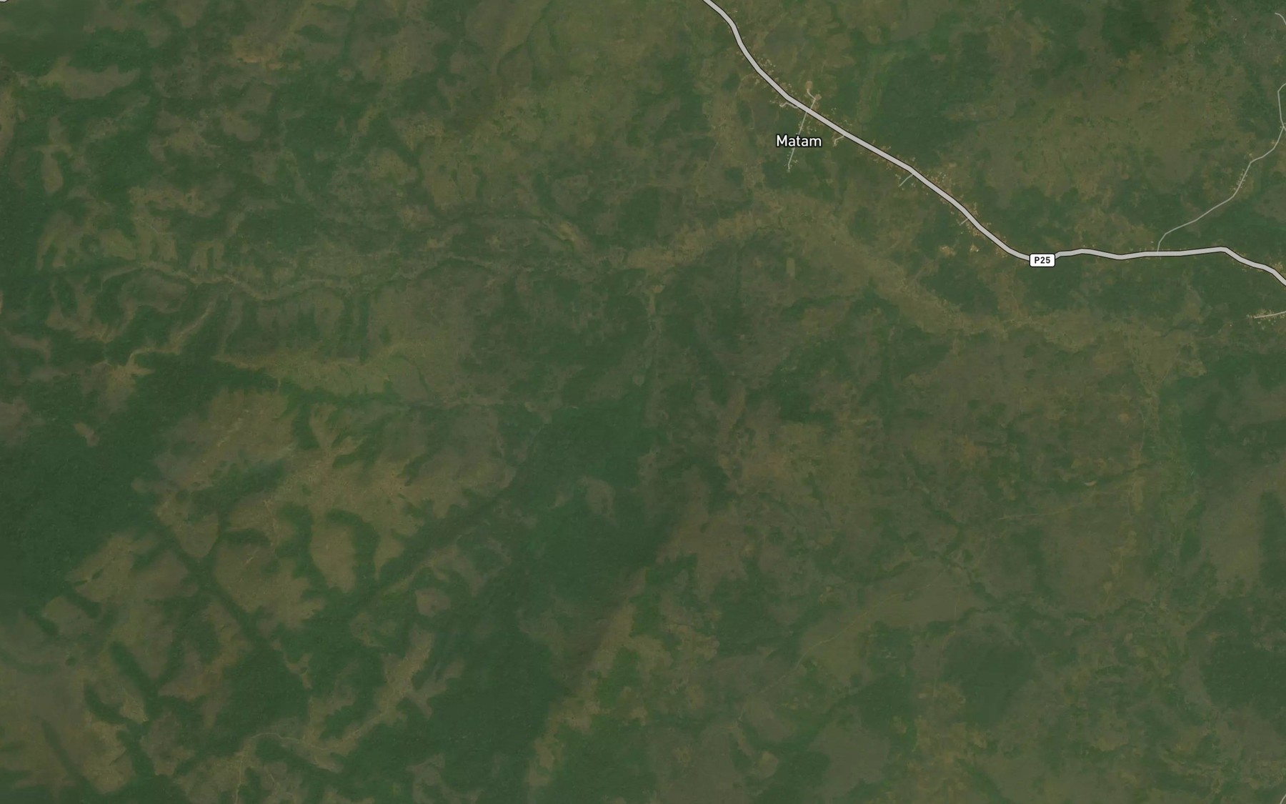 Satellite map of the Nianguere