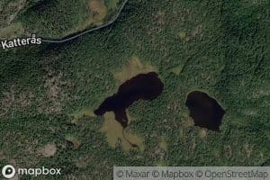 Den store Berlitjonna