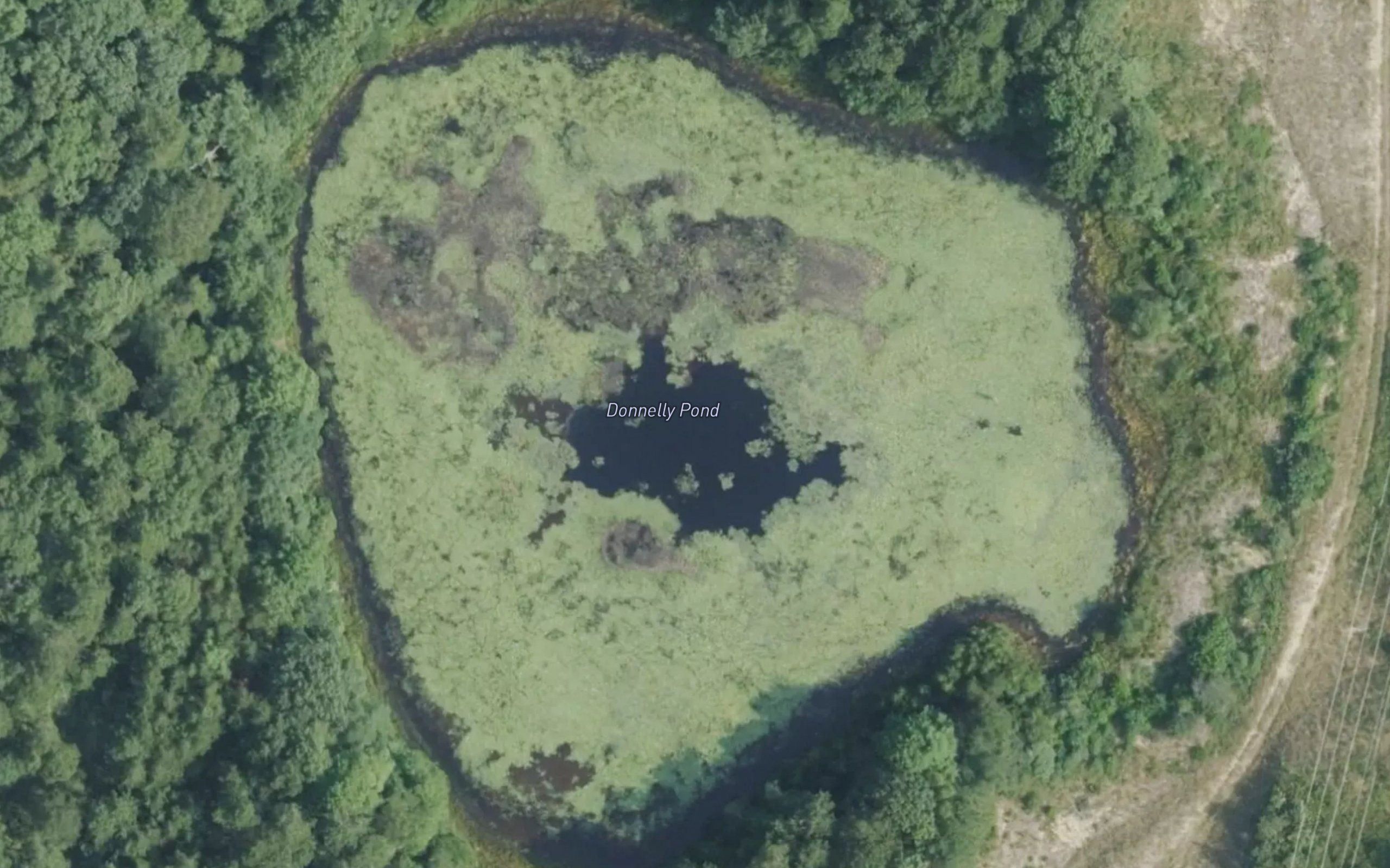 Donnely Pond