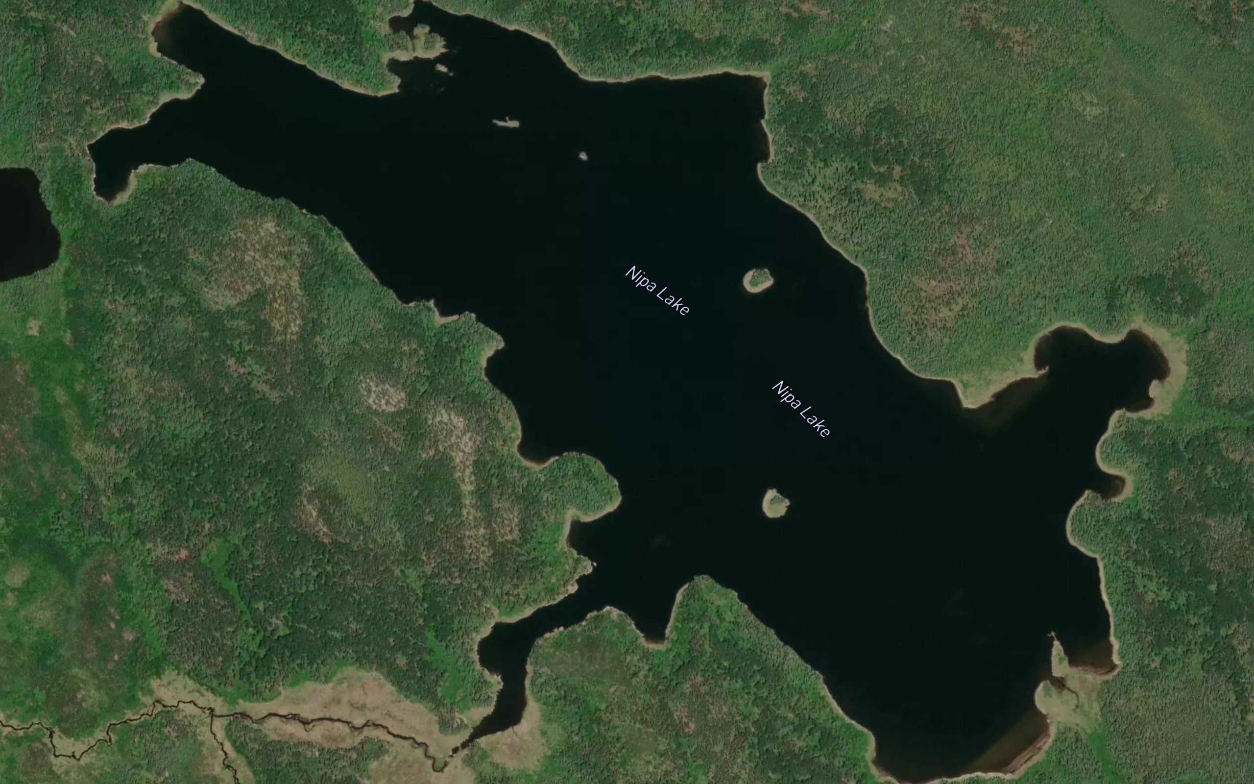 Nipa Lake