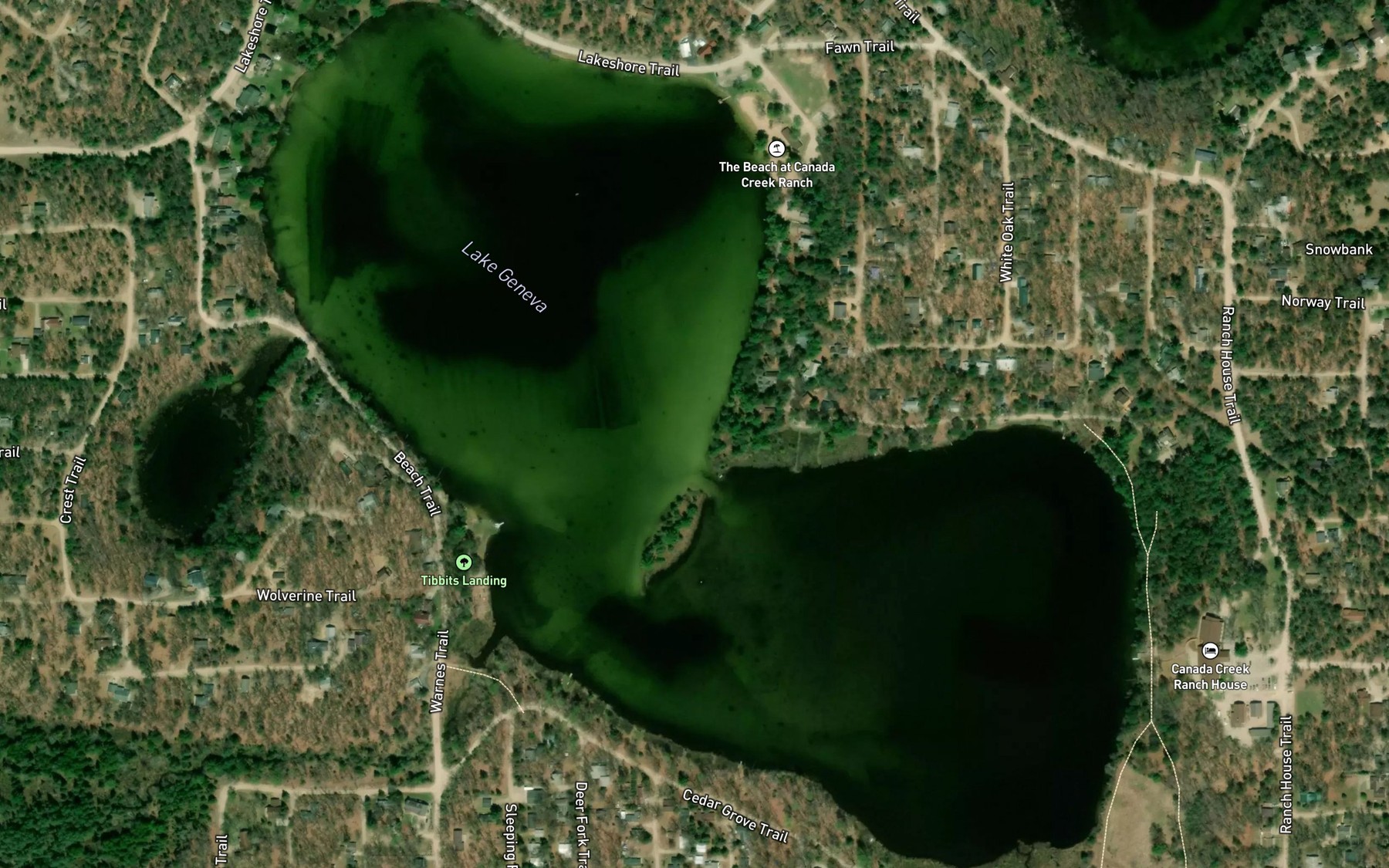 Satellite map of the Lake Geneva
