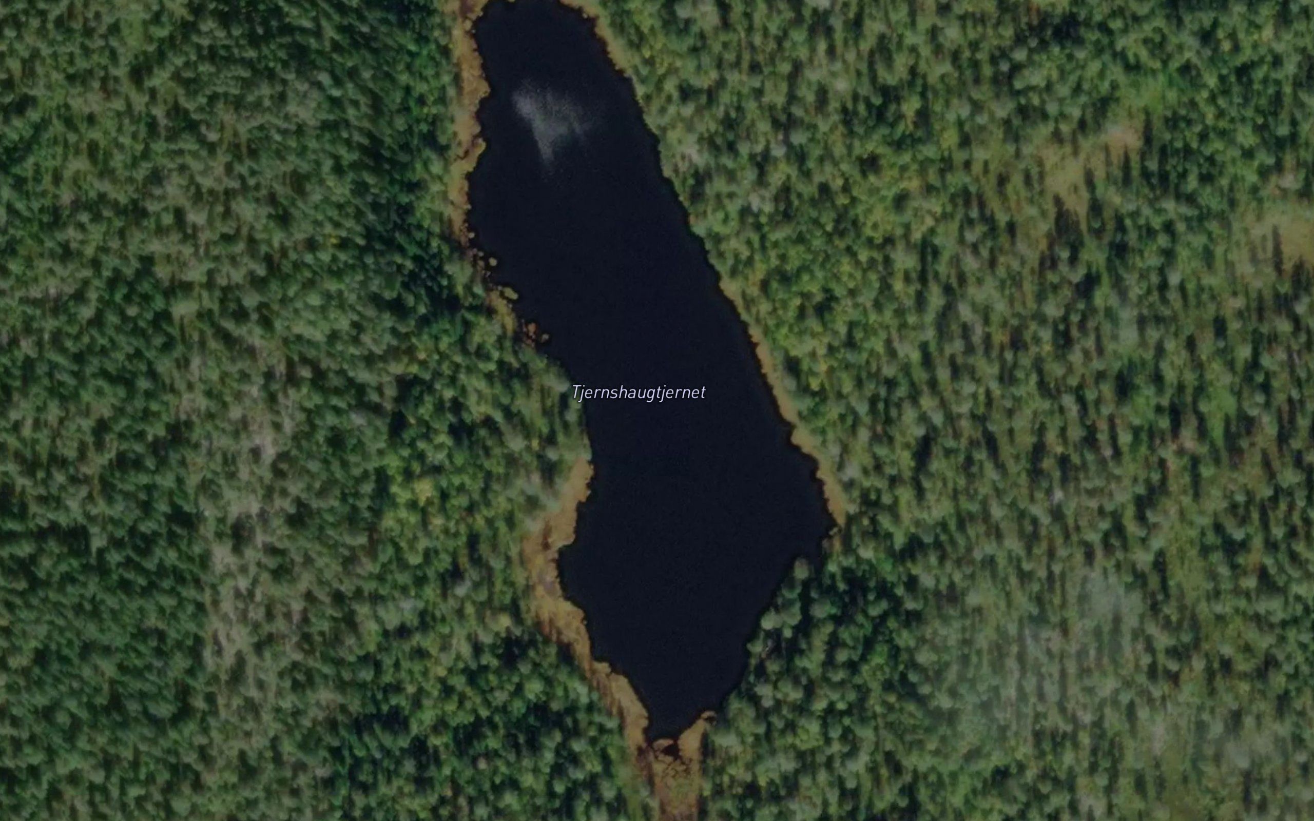 Tjernshaugtjernet