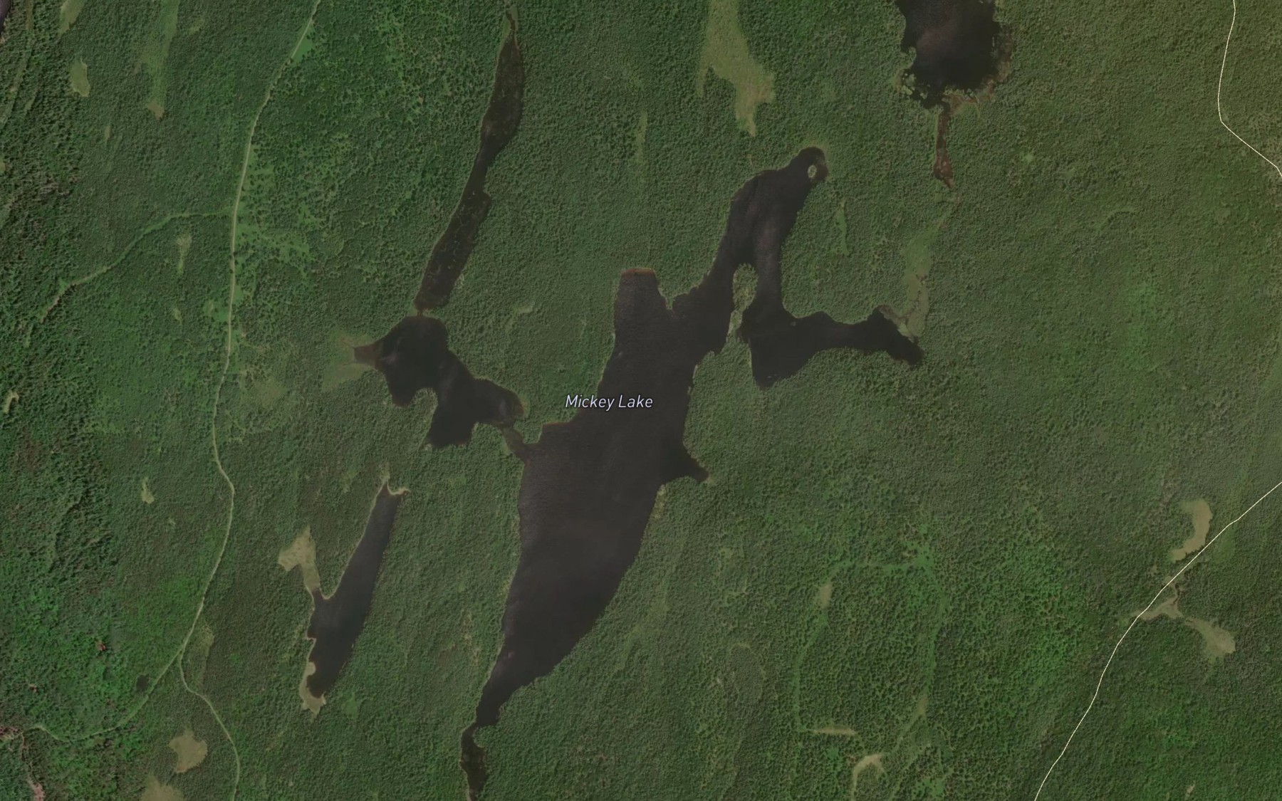 Satellite map of the Mickey Lake